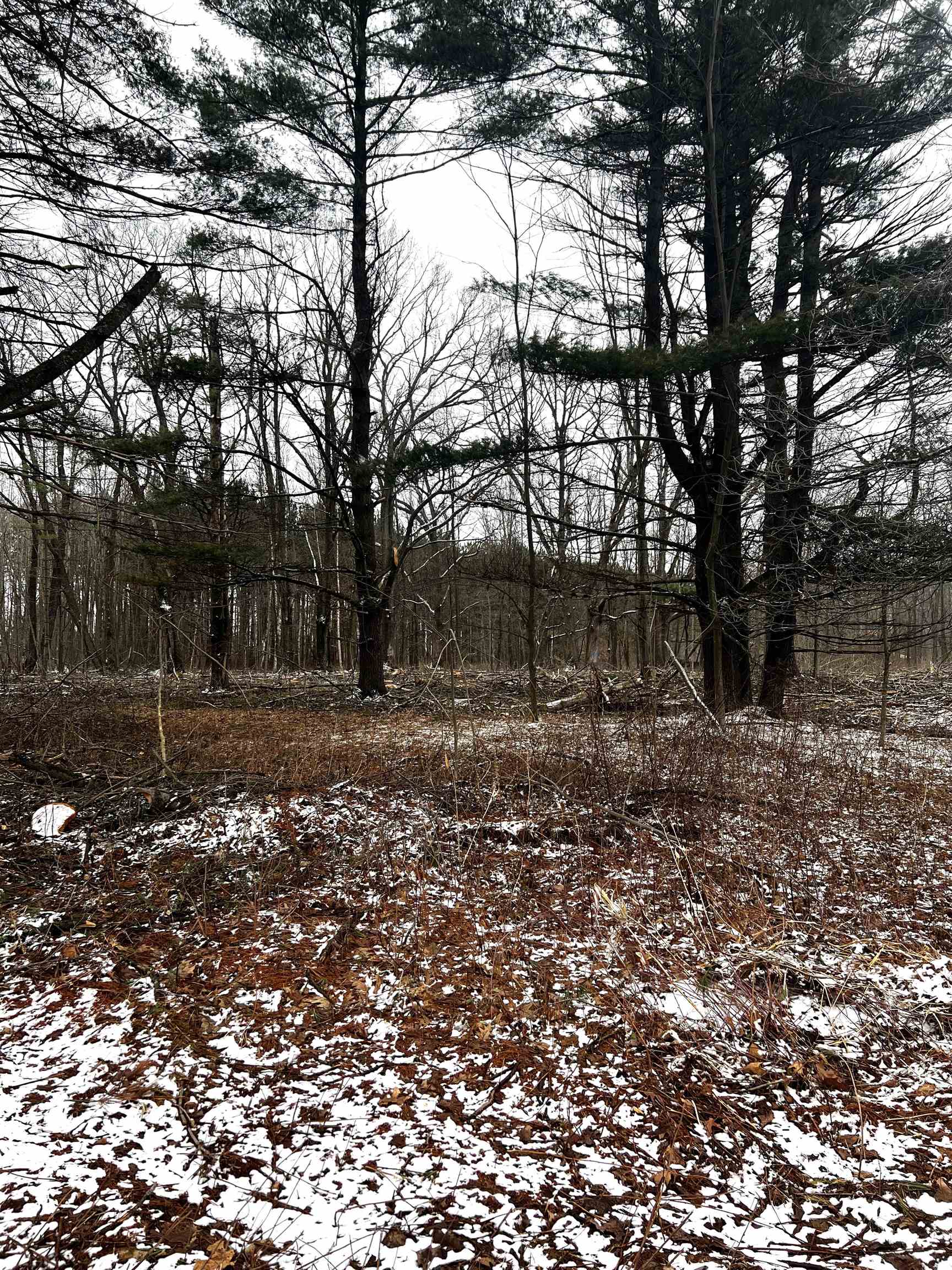 MOUNT VISTA ROAD, Mosinee, Wisconsin 54455, ,Land,For Sale,MOUNT VISTA ROAD,22600692