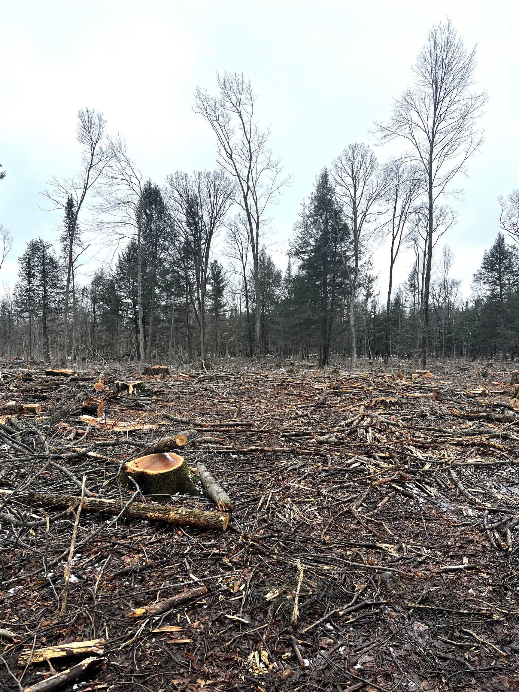 MOUNT VISTA ROAD, Mosinee, Wisconsin 54455, ,Land,For Sale,MOUNT VISTA ROAD,22600692