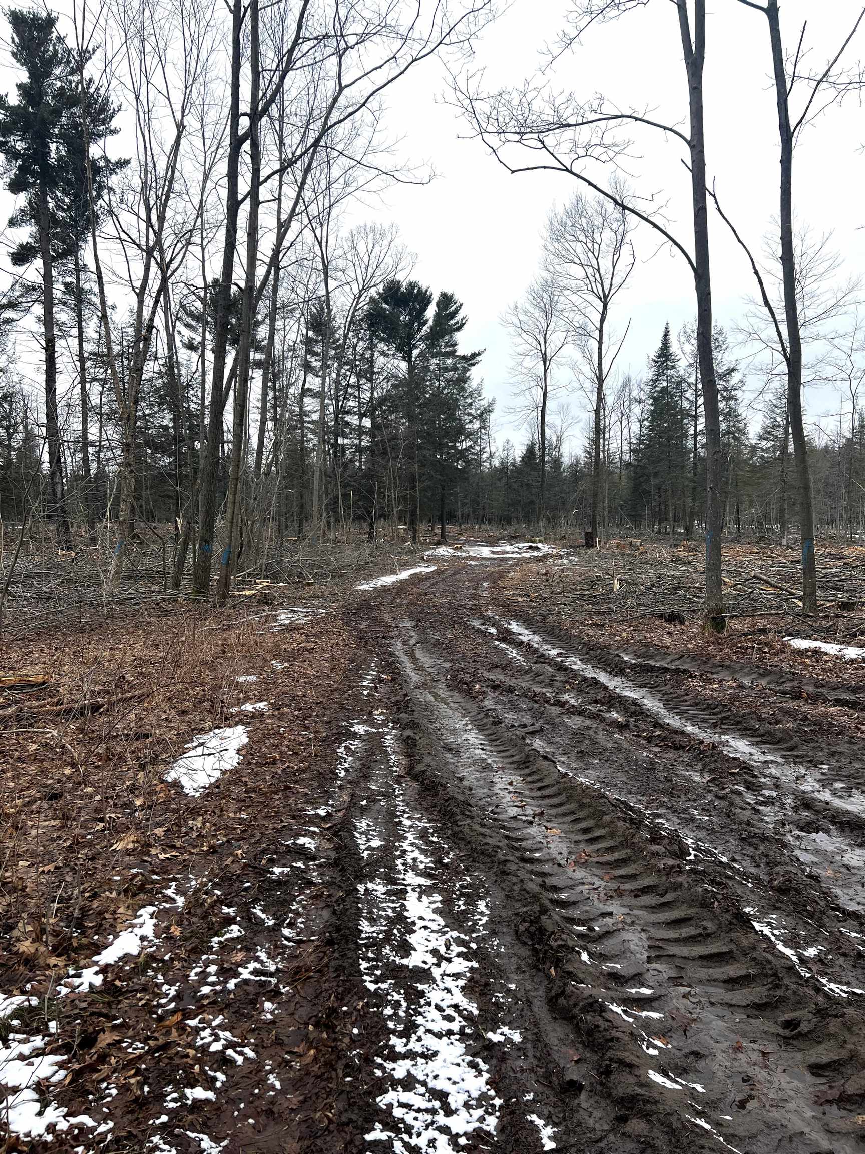 MOUNT VISTA ROAD, Mosinee, Wisconsin 54455, ,Land,For Sale,MOUNT VISTA ROAD,22600692