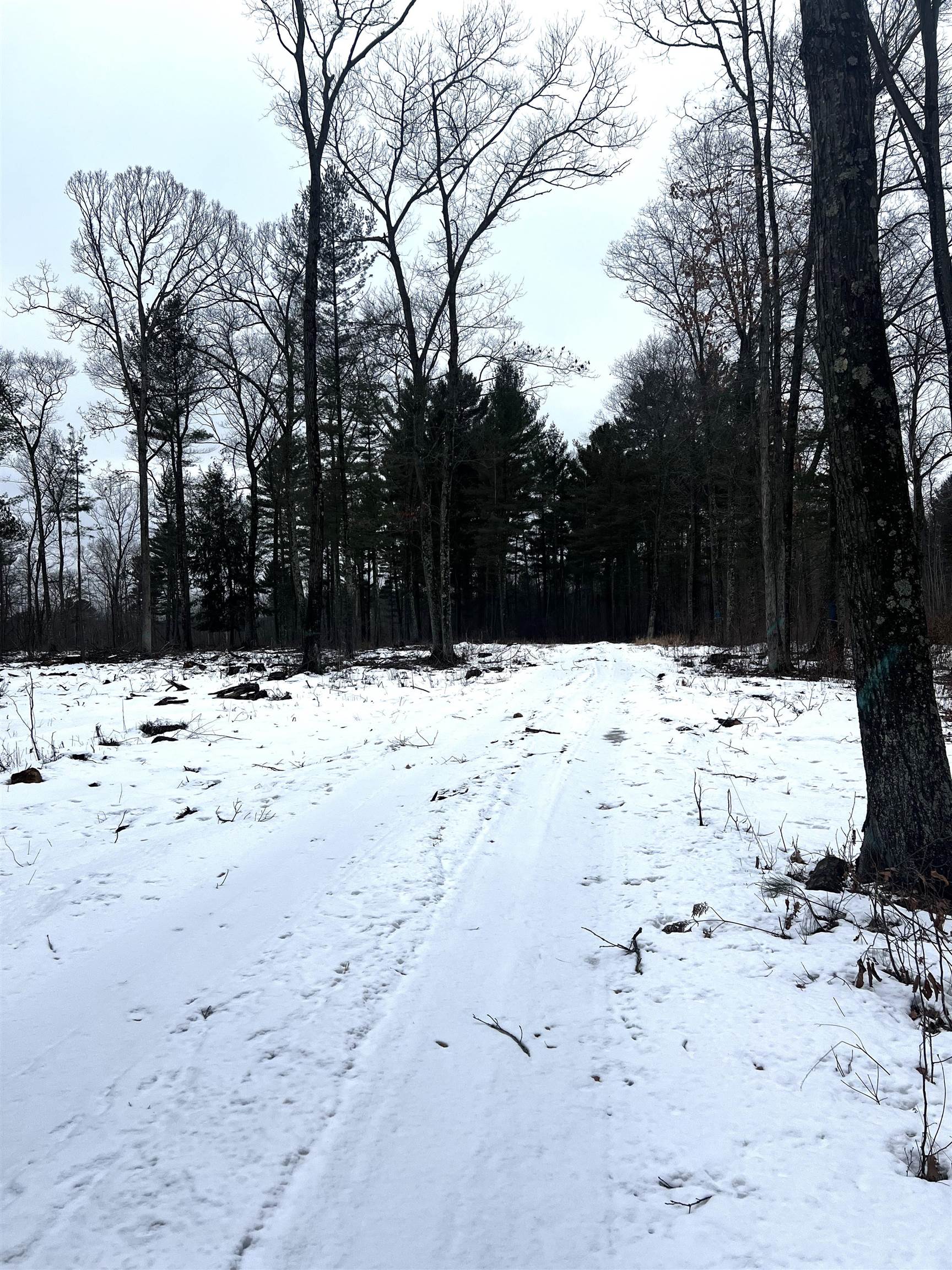SAINT JOHNS ROAD, Mosinee, Wisconsin 54455, ,Land,For Sale,SAINT JOHNS ROAD,22600693