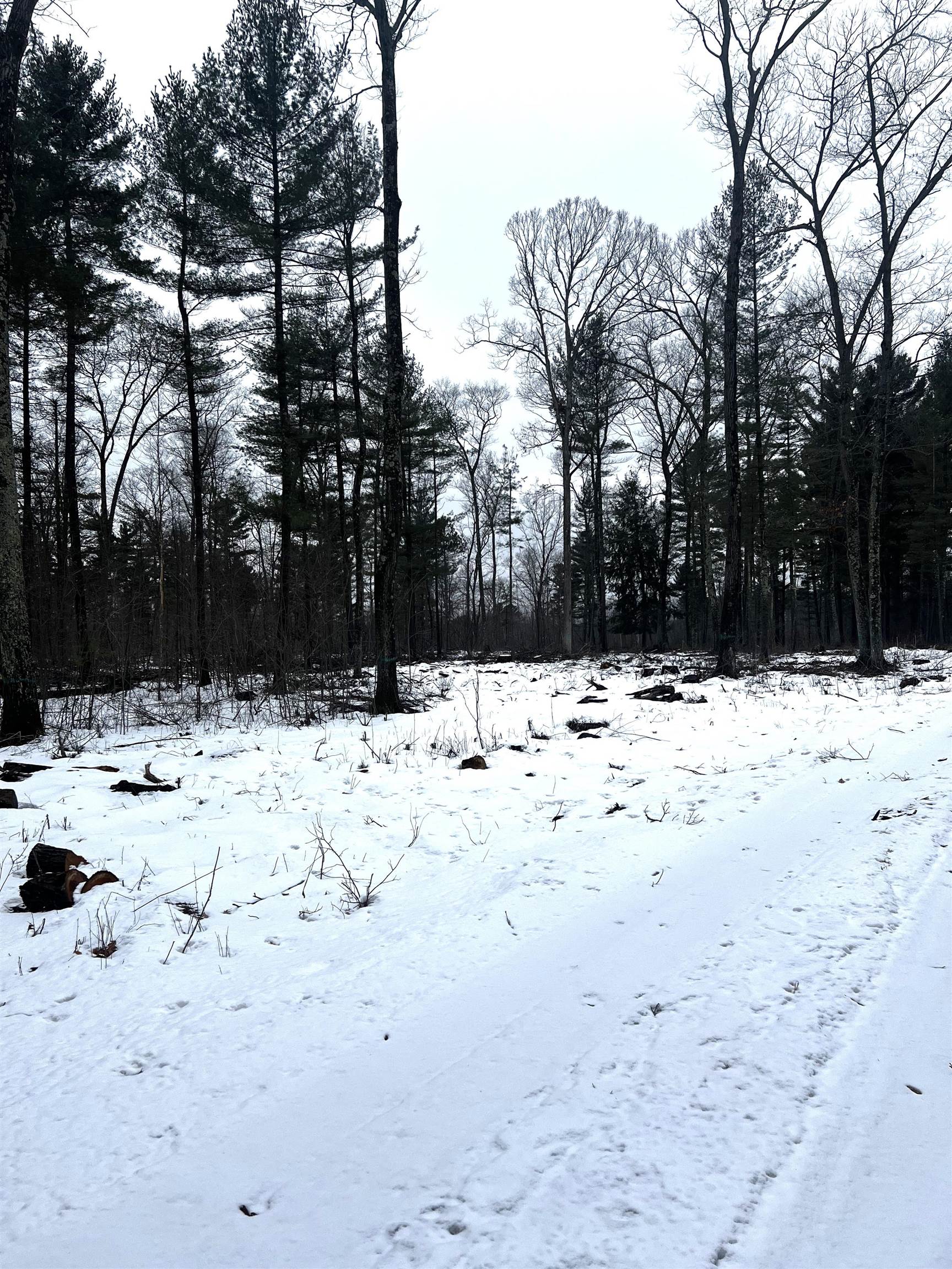 SAINT JOHNS ROAD, Mosinee, Wisconsin 54455, ,Land,For Sale,SAINT JOHNS ROAD,22600693