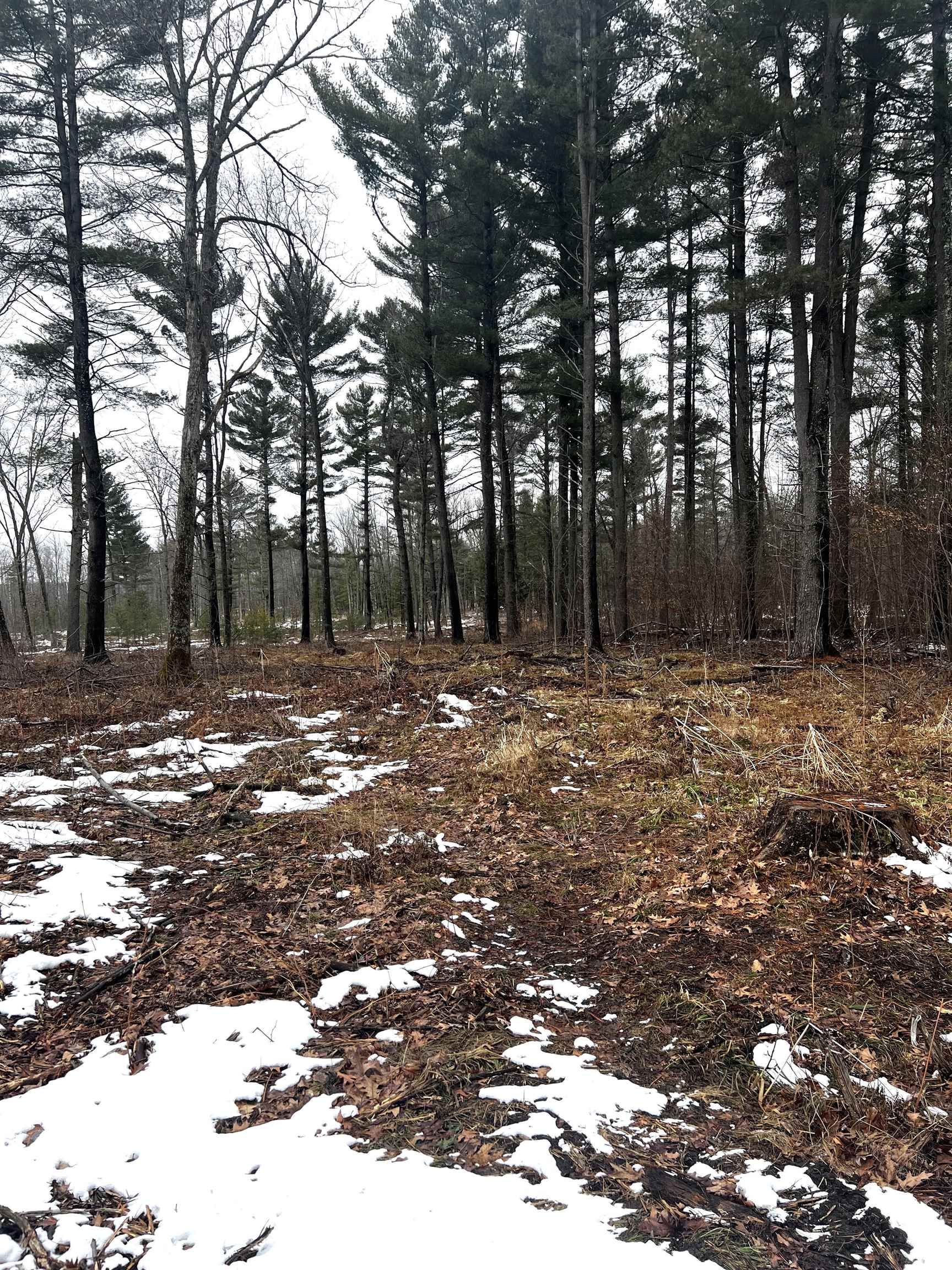 SAINT JOHNS ROAD, Mosinee, Wisconsin 54455, ,Land,For Sale,SAINT JOHNS ROAD,22600693