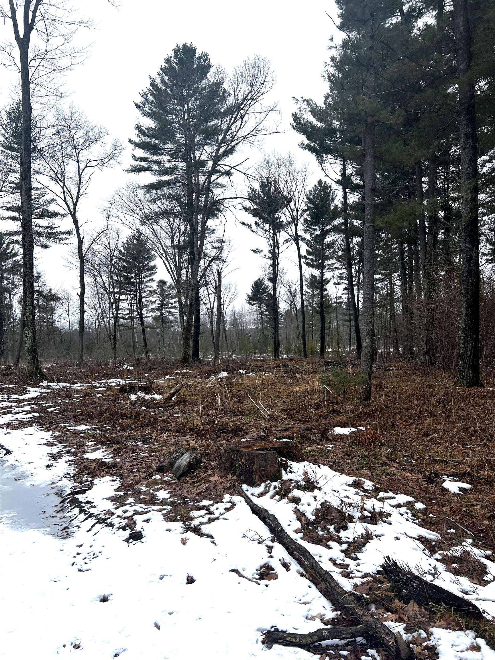 SAINT JOHNS ROAD, Mosinee, Wisconsin 54455, ,Land,For Sale,SAINT JOHNS ROAD,22600693