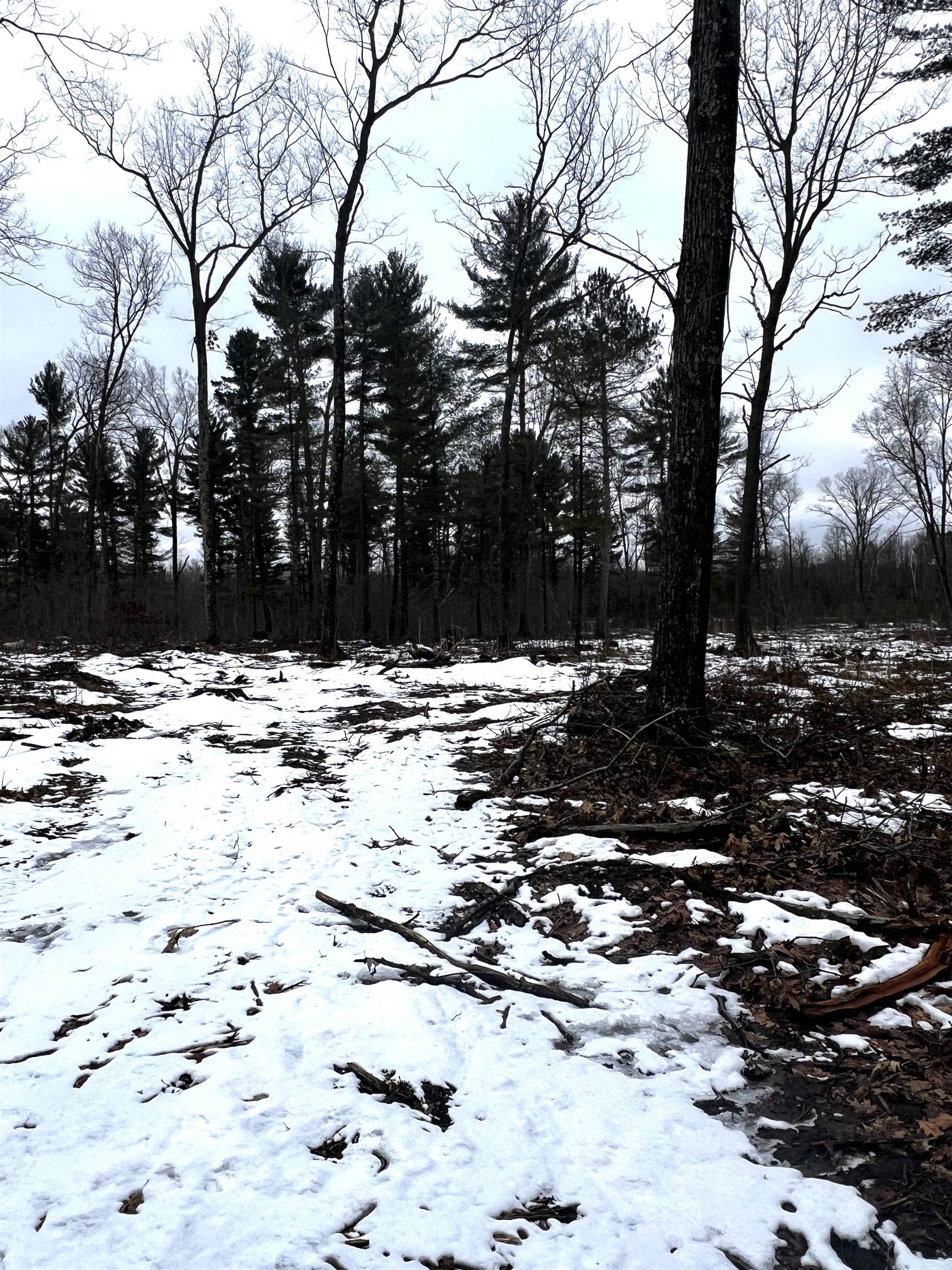 SAINT JOHNS ROAD, Mosinee, Wisconsin 54455, ,Land,For Sale,SAINT JOHNS ROAD,22600693