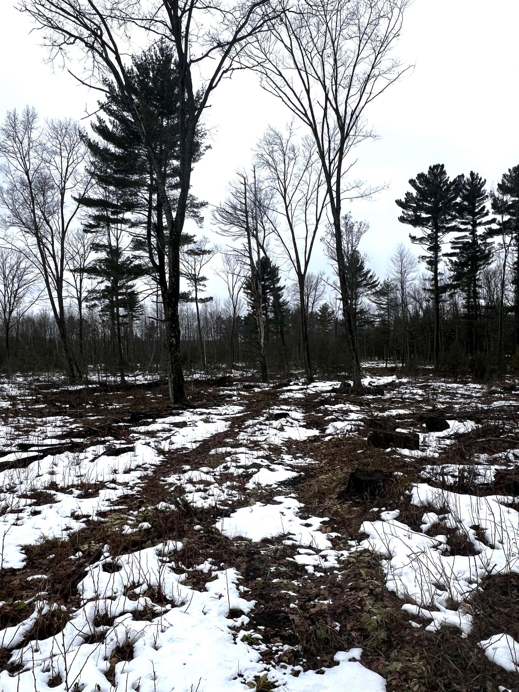 SAINT JOHNS ROAD, Mosinee, Wisconsin 54455, ,Land,For Sale,SAINT JOHNS ROAD,22600693