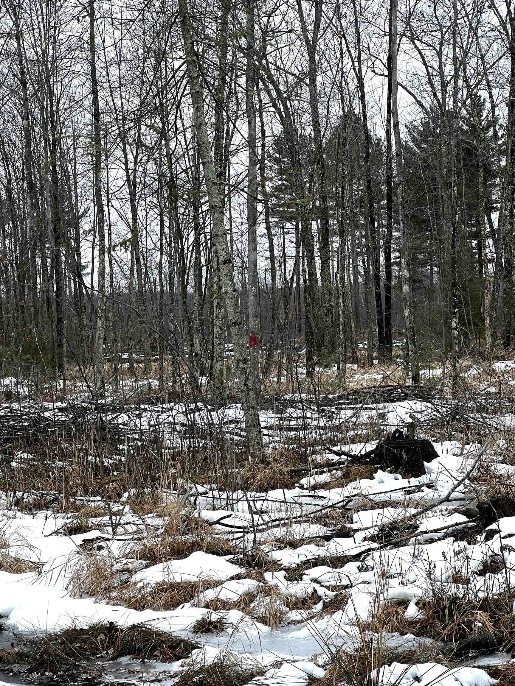 SAINT JOHNS ROAD, Mosinee, Wisconsin 54455, ,Land,For Sale,SAINT JOHNS ROAD,22600693