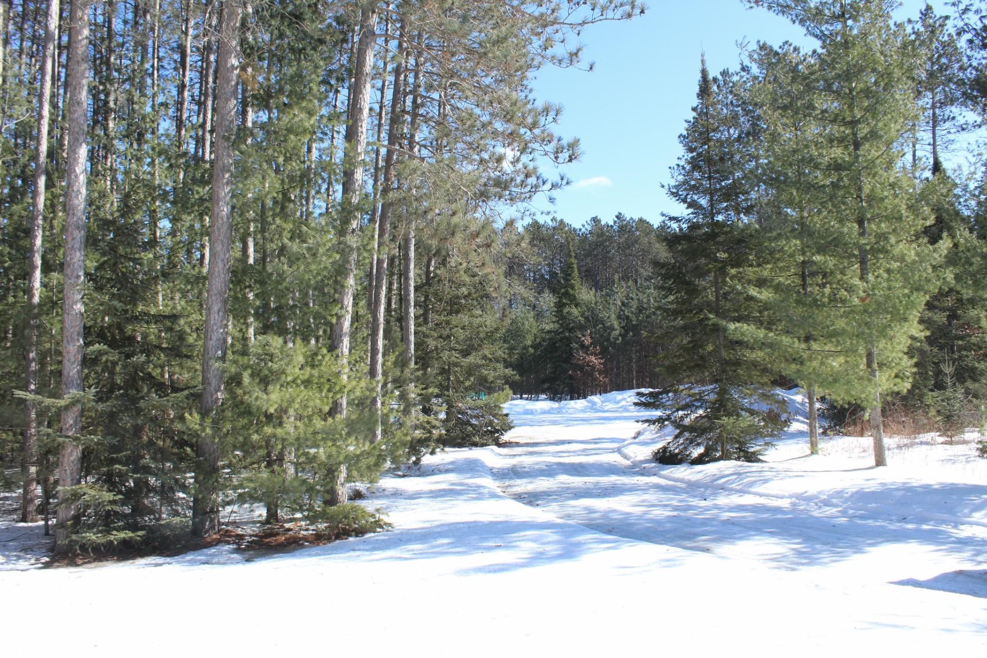 N11914 ORIOLE LANE, Elcho, Wisconsin 54428, 2 Bedrooms Bedrooms, ,2 BathroomsBathrooms,Residential,For Sale,N11914 ORIOLE LANE,22600699