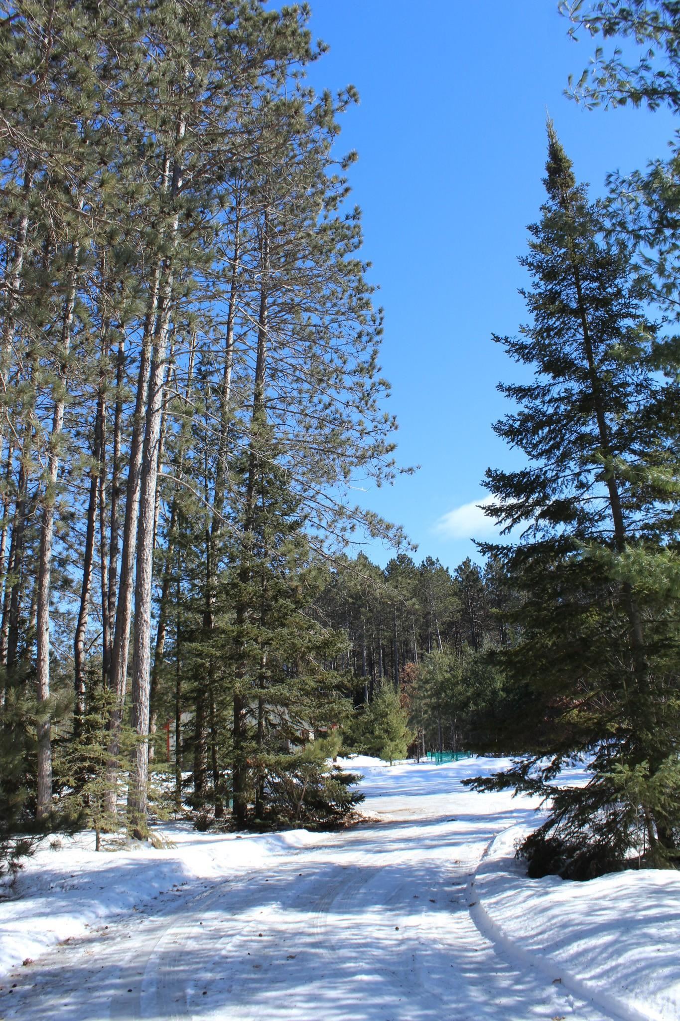 N11914 ORIOLE LANE, Elcho, Wisconsin 54428, 2 Bedrooms Bedrooms, ,2 BathroomsBathrooms,Residential,For Sale,N11914 ORIOLE LANE,22600699