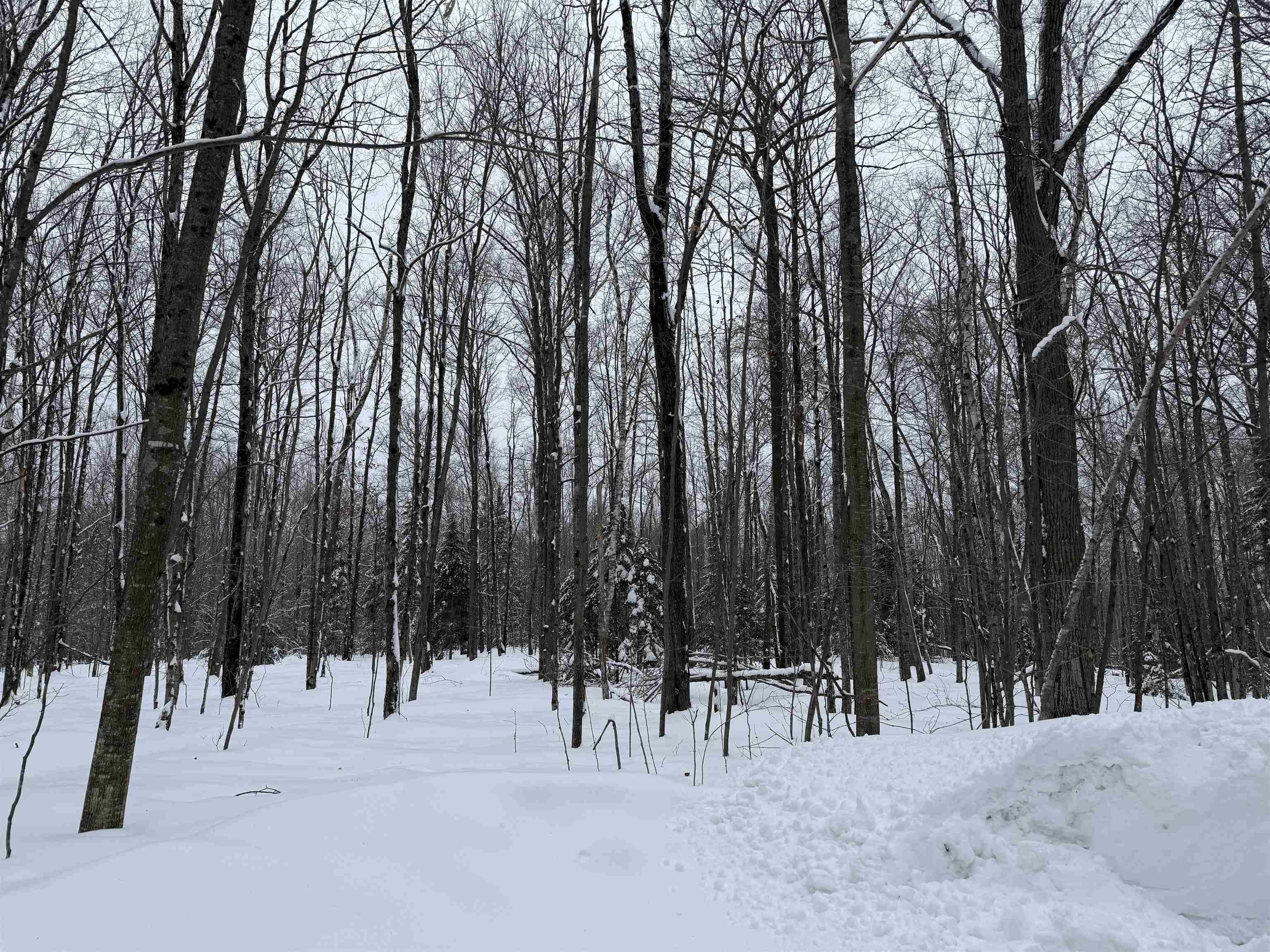 Lot #4 ALLEN ROAD, NASHVILLE, Wisconsin 54520, ,Land,For Sale,Lot #4 ALLEN ROAD,22600718