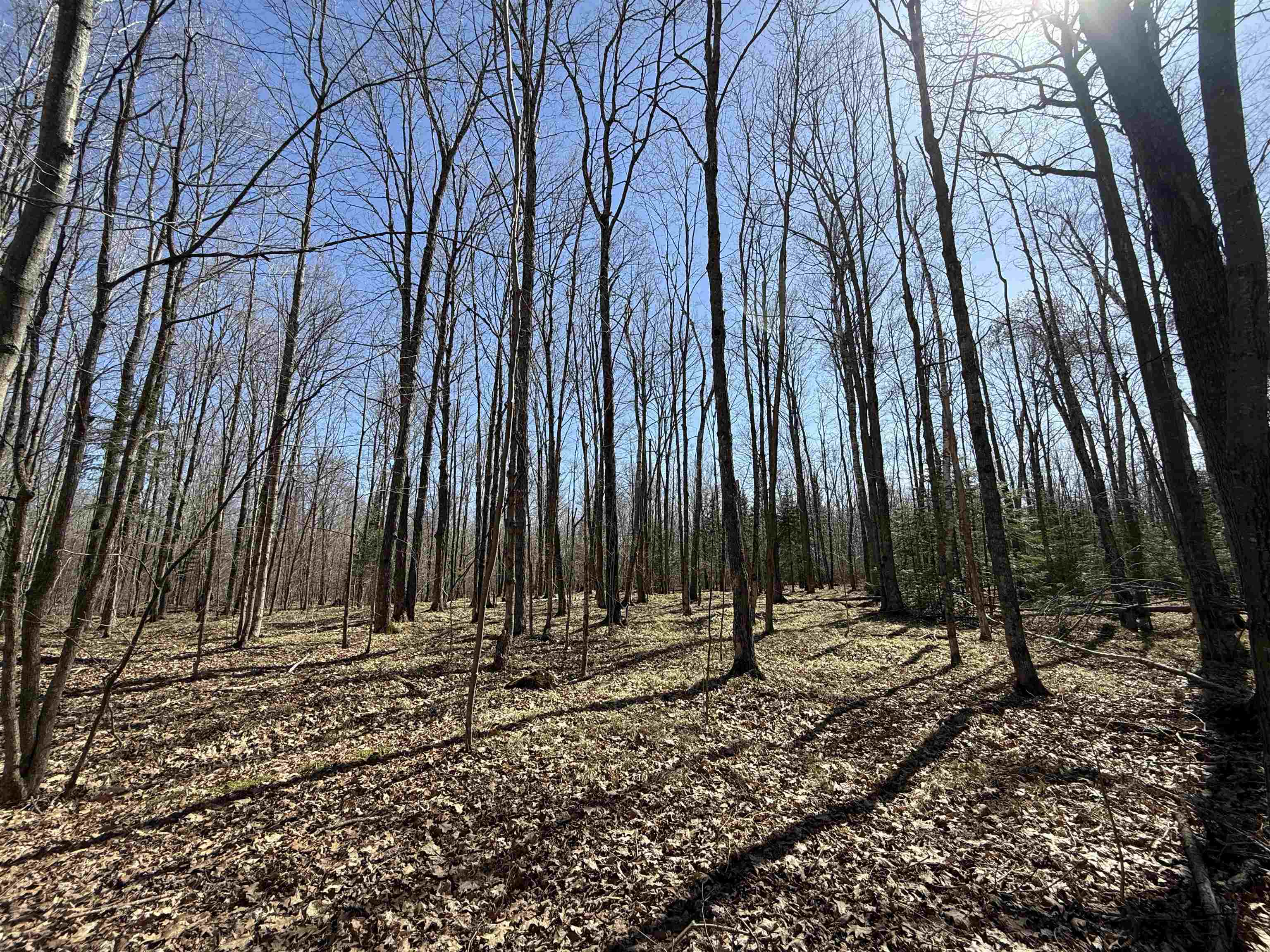Lot #4 ALLEN ROAD, NASHVILLE, Wisconsin 54520, ,Land,For Sale,Lot #4 ALLEN ROAD,22600718