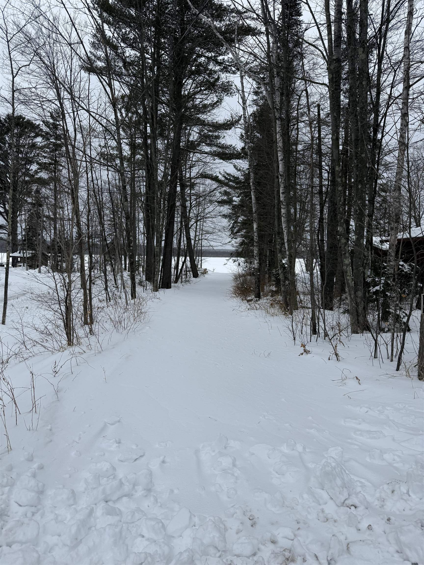 Lot #4 ALLEN ROAD, NASHVILLE, Wisconsin 54520, ,Land,For Sale,Lot #4 ALLEN ROAD,22600718