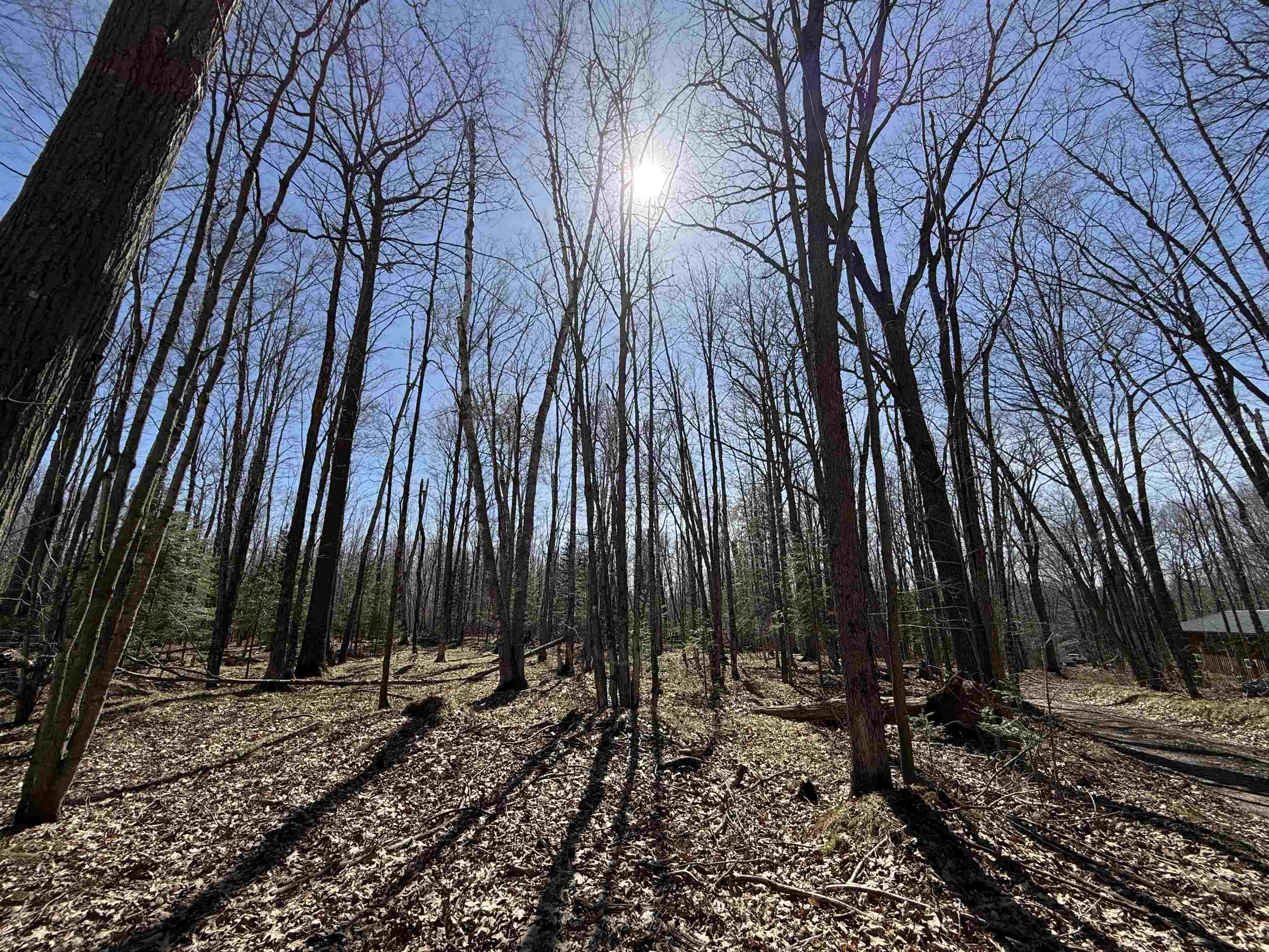 Lot #4 ALLEN ROAD, NASHVILLE, Wisconsin 54520, ,Land,For Sale,Lot #4 ALLEN ROAD,22600718