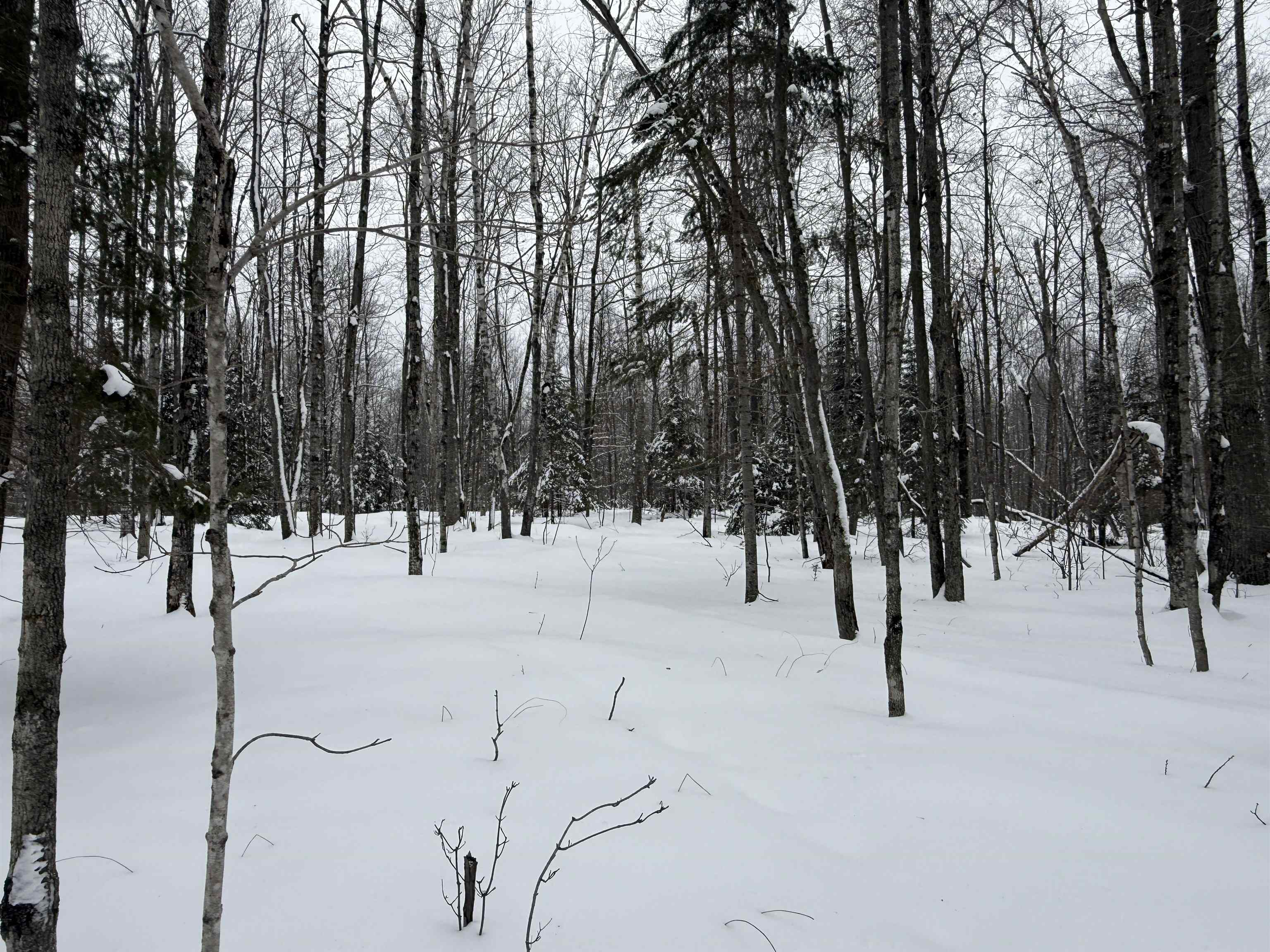 Lot #4 ALLEN ROAD, NASHVILLE, Wisconsin 54520, ,Land,For Sale,Lot #4 ALLEN ROAD,22600718