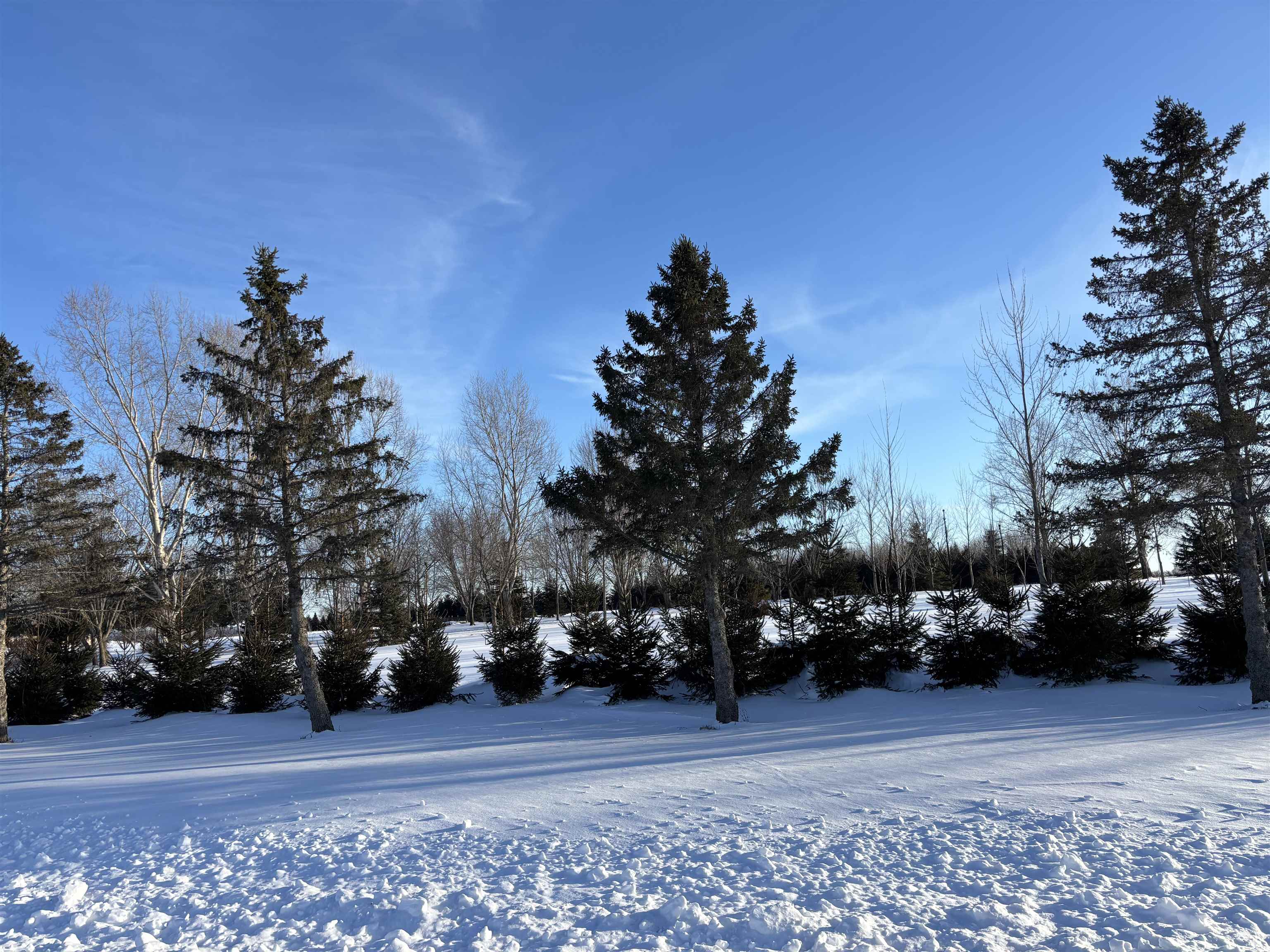 N383 HILLTOP LANE, Merrill, Wisconsin 54452, 3 Bedrooms Bedrooms, ,3 BathroomsBathrooms,Residential,For Sale,N383 HILLTOP LANE,22600727