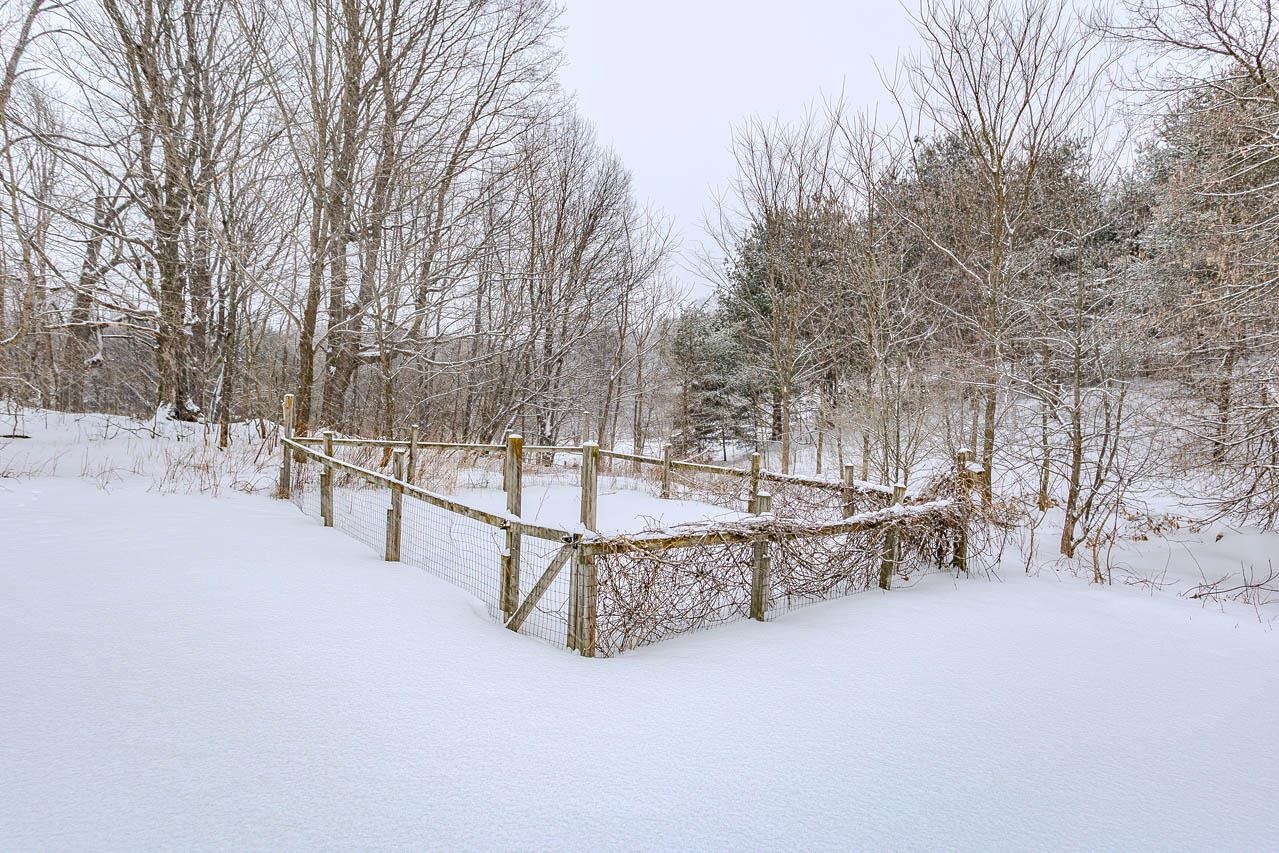 183555 OLD LAKE ROAD, Birnamwood, Wisconsin 54414, 4 Bedrooms Bedrooms, ,3 BathroomsBathrooms,Residential,For Sale,183555 OLD LAKE ROAD,22600729