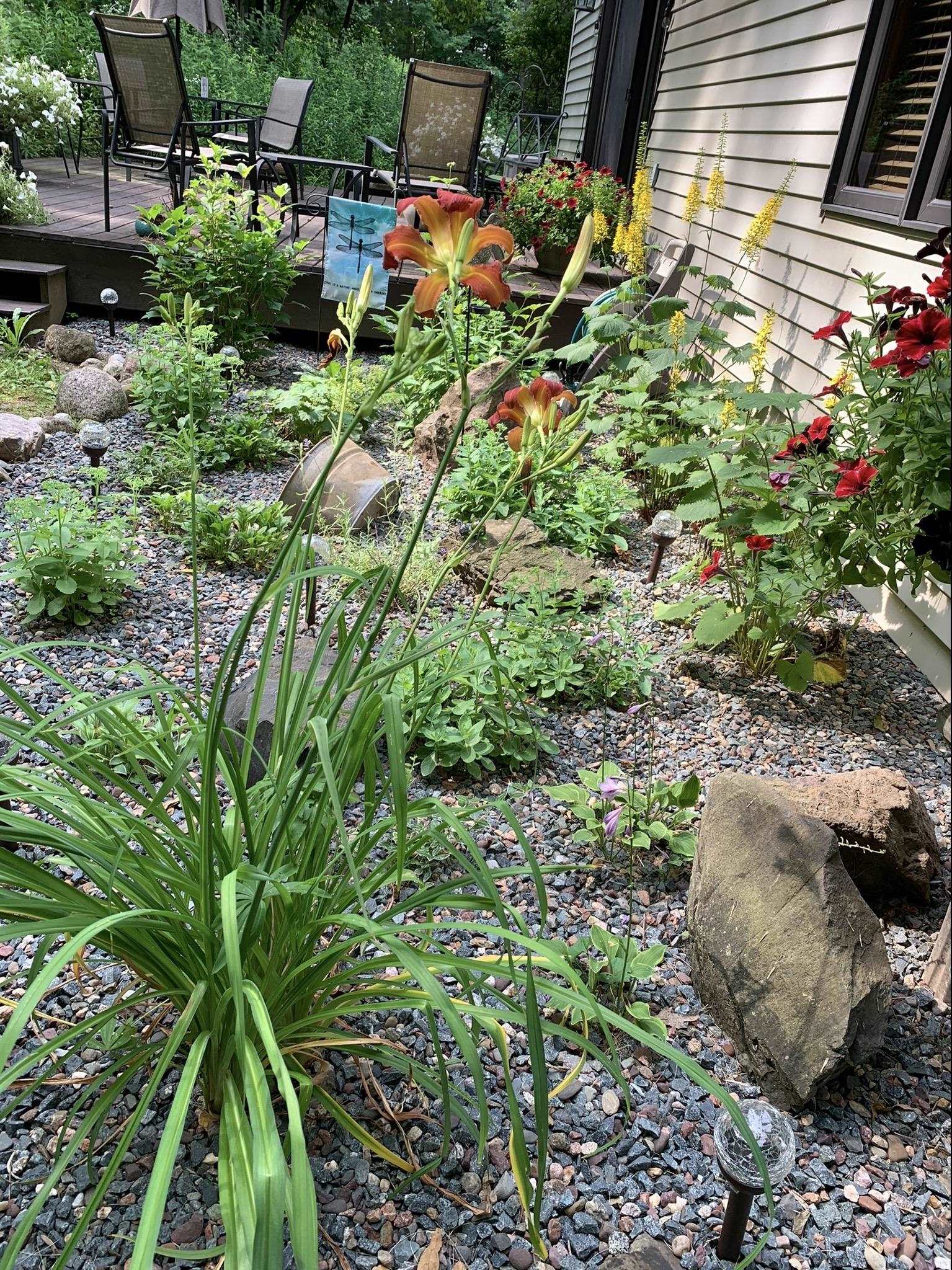 1401 WOODLAND RIDGE ROAD, Wausau, Wisconsin 54403, 4 Bedrooms Bedrooms, ,3 BathroomsBathrooms,Residential,For Sale,1401 WOODLAND RIDGE ROAD,22600730