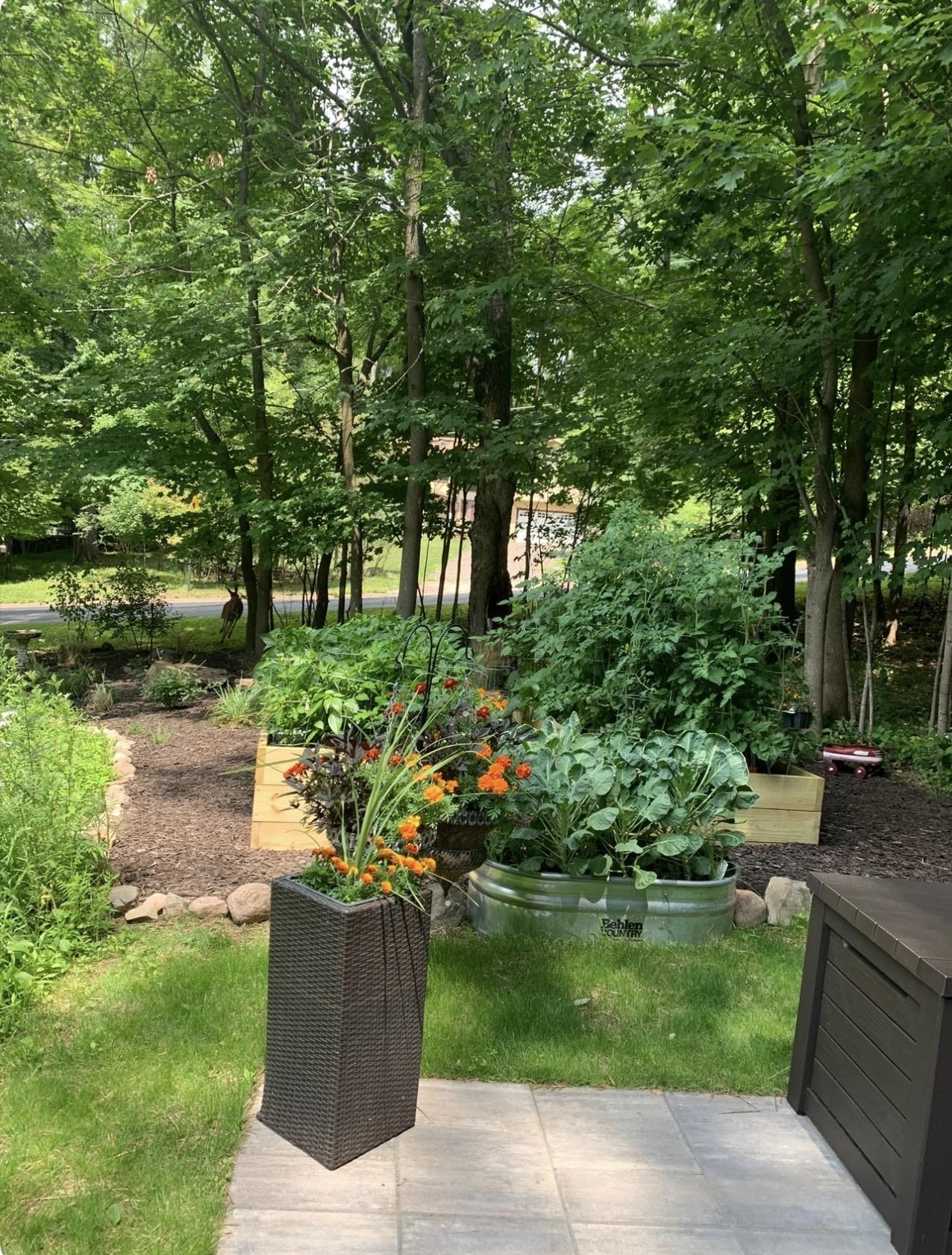 1401 WOODLAND RIDGE ROAD, Wausau, Wisconsin 54403, 4 Bedrooms Bedrooms, ,3 BathroomsBathrooms,Residential,For Sale,1401 WOODLAND RIDGE ROAD,22600730