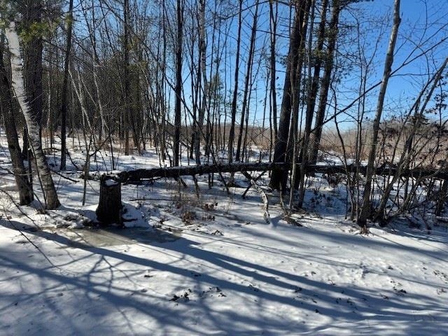 00 STERLING AVENUE, Neillsville, Wisconsin 54456, ,Land,For Sale,00 STERLING AVENUE,22600749