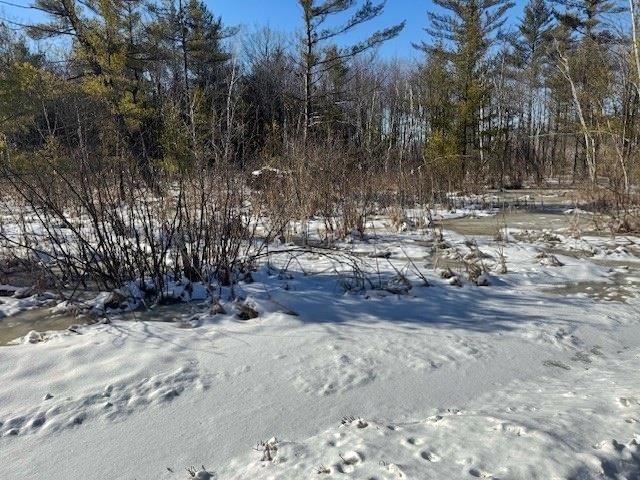 00 STERLING AVENUE, Neillsville, Wisconsin 54456, ,Land,For Sale,00 STERLING AVENUE,22600749