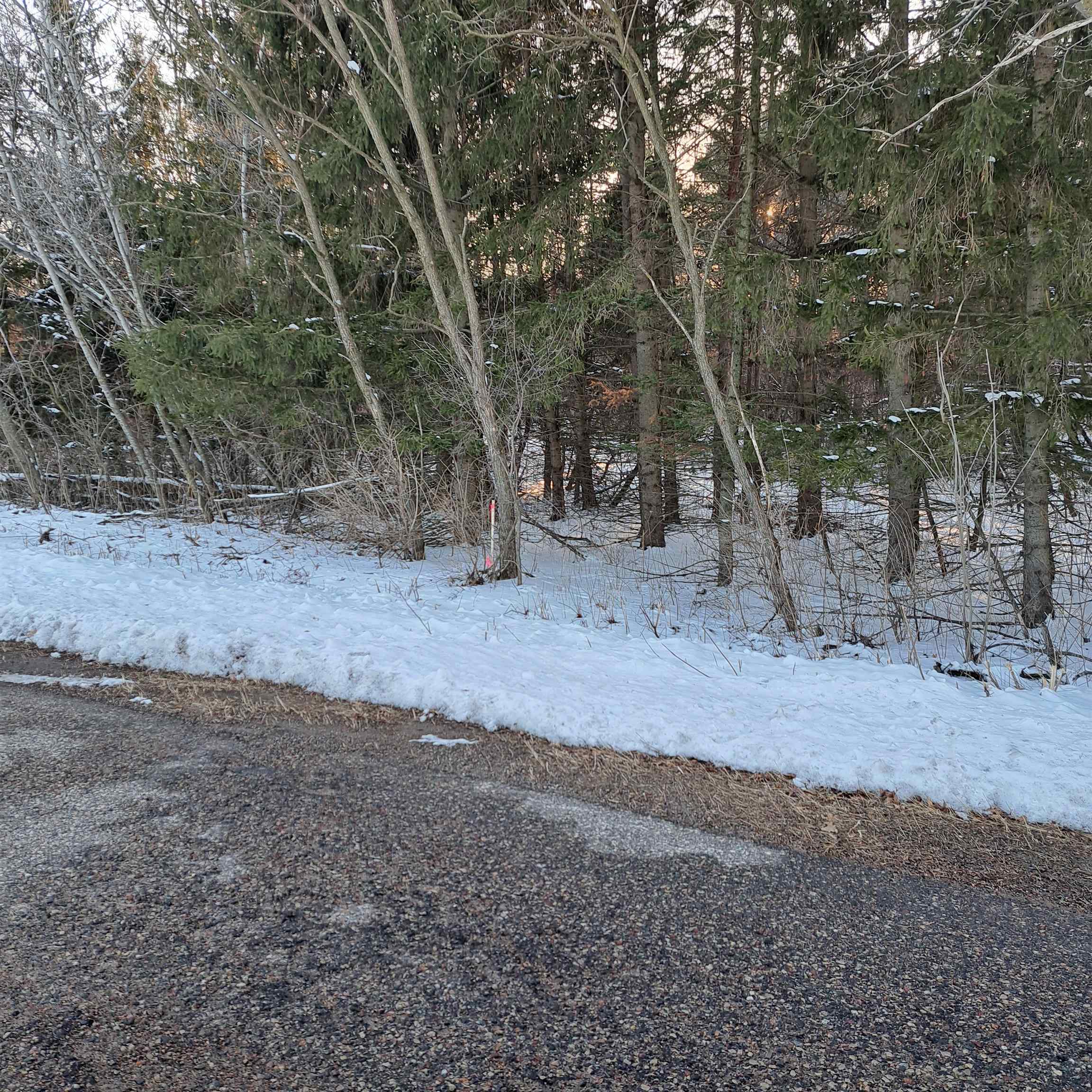 4476 TOWER ROAD, Stevens Point, Wisconsin 54482, 1 Bedroom Bedrooms, ,2 BathroomsBathrooms,Residential,For Sale,4476 TOWER ROAD,22600772