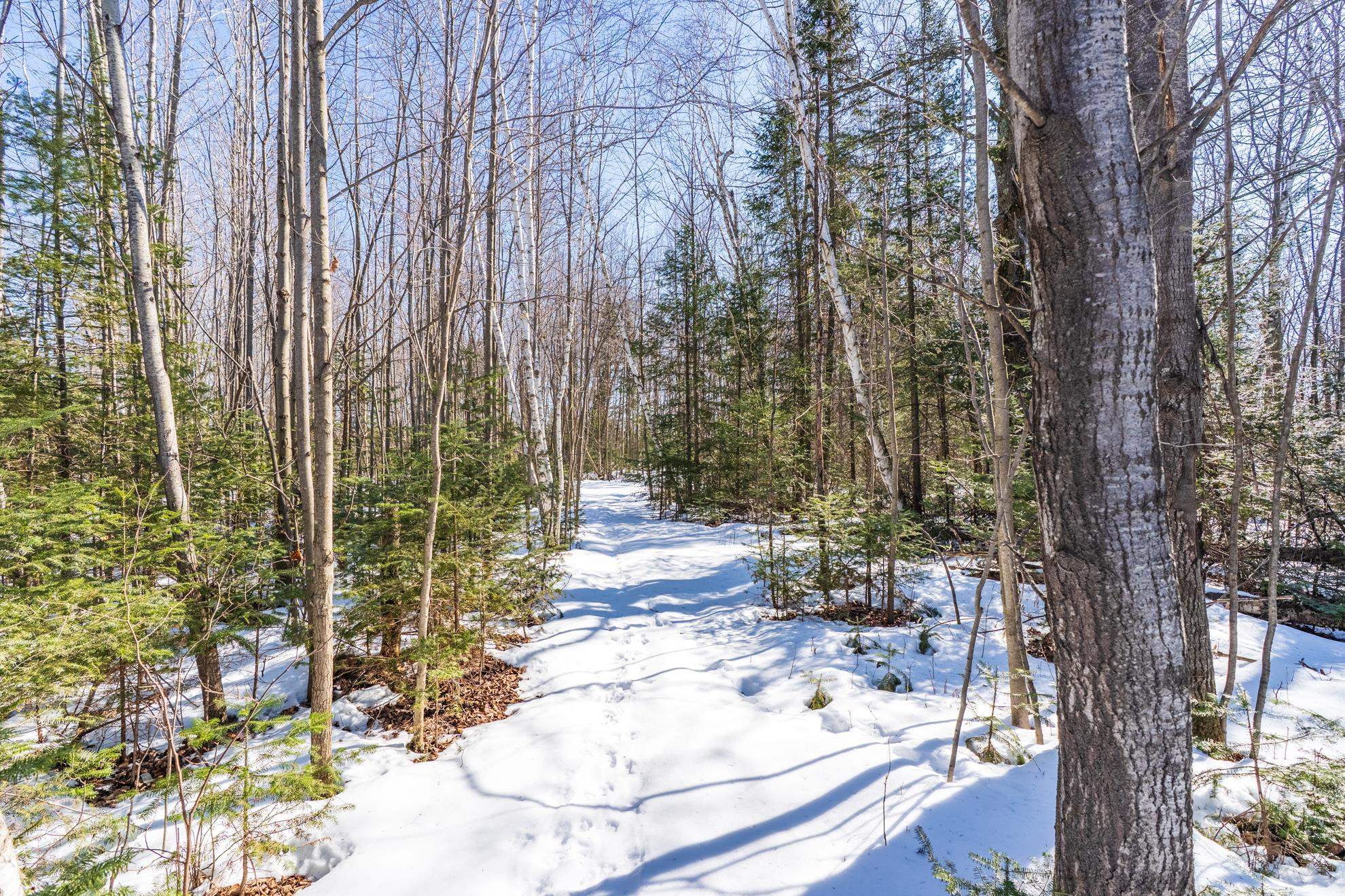 18.28 Acres SOUTH ROAD, Mosinee, Wisconsin 54455, ,Land,For Sale,18.28 Acres SOUTH ROAD,22600781