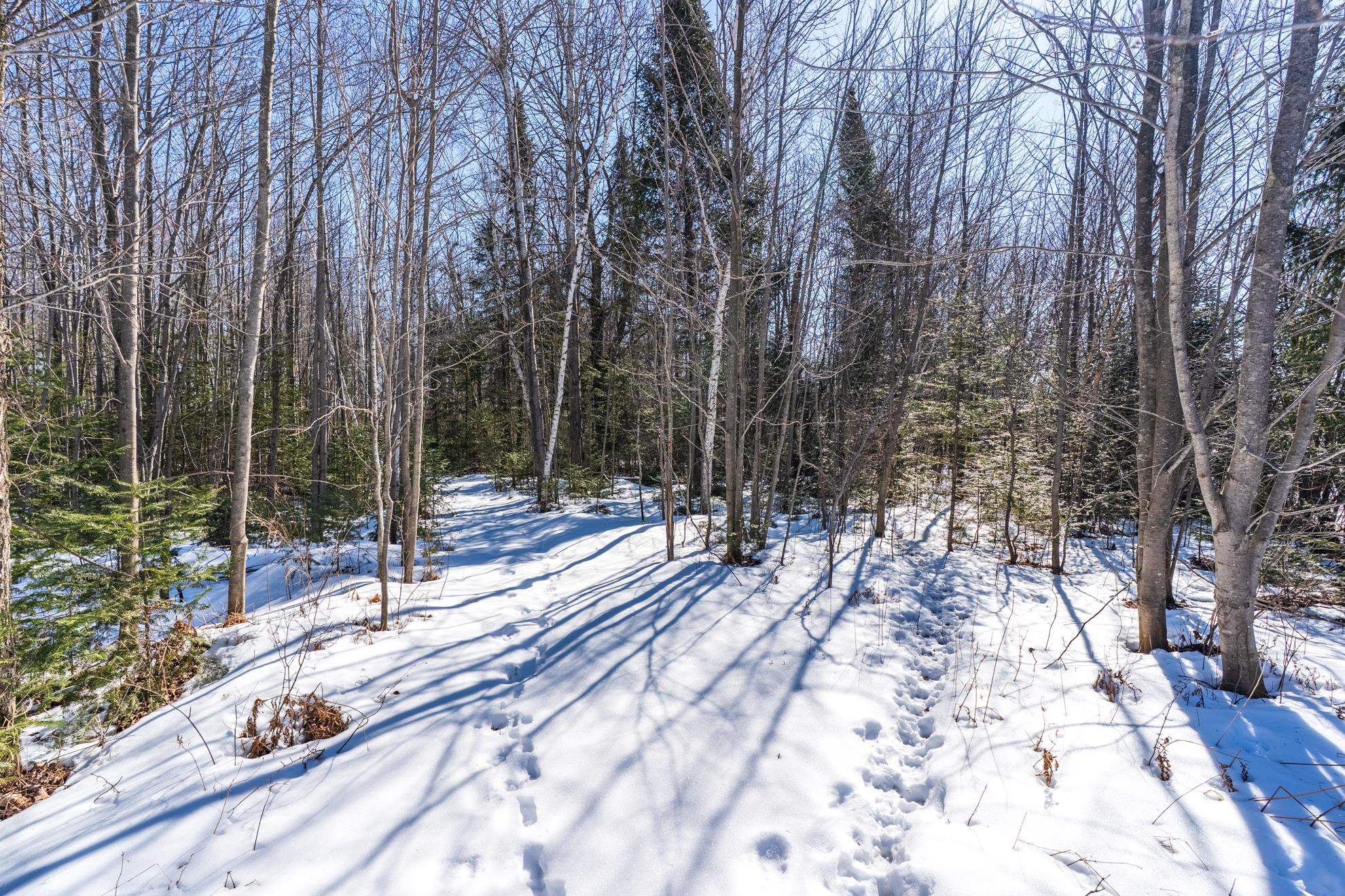 18.28 Acres SOUTH ROAD, Mosinee, Wisconsin 54455, ,Land,For Sale,18.28 Acres SOUTH ROAD,22600781