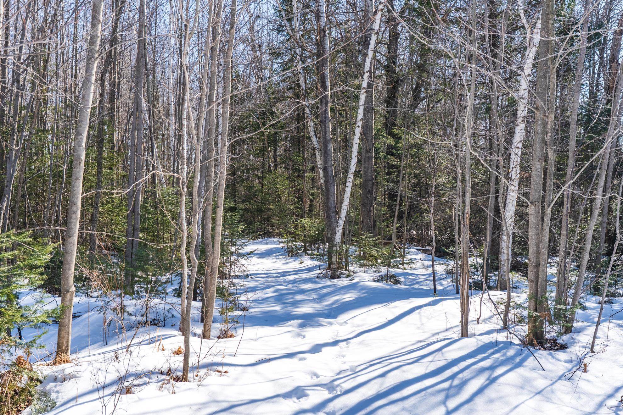 18.28 Acres SOUTH ROAD, Mosinee, Wisconsin 54455, ,Land,For Sale,18.28 Acres SOUTH ROAD,22600781