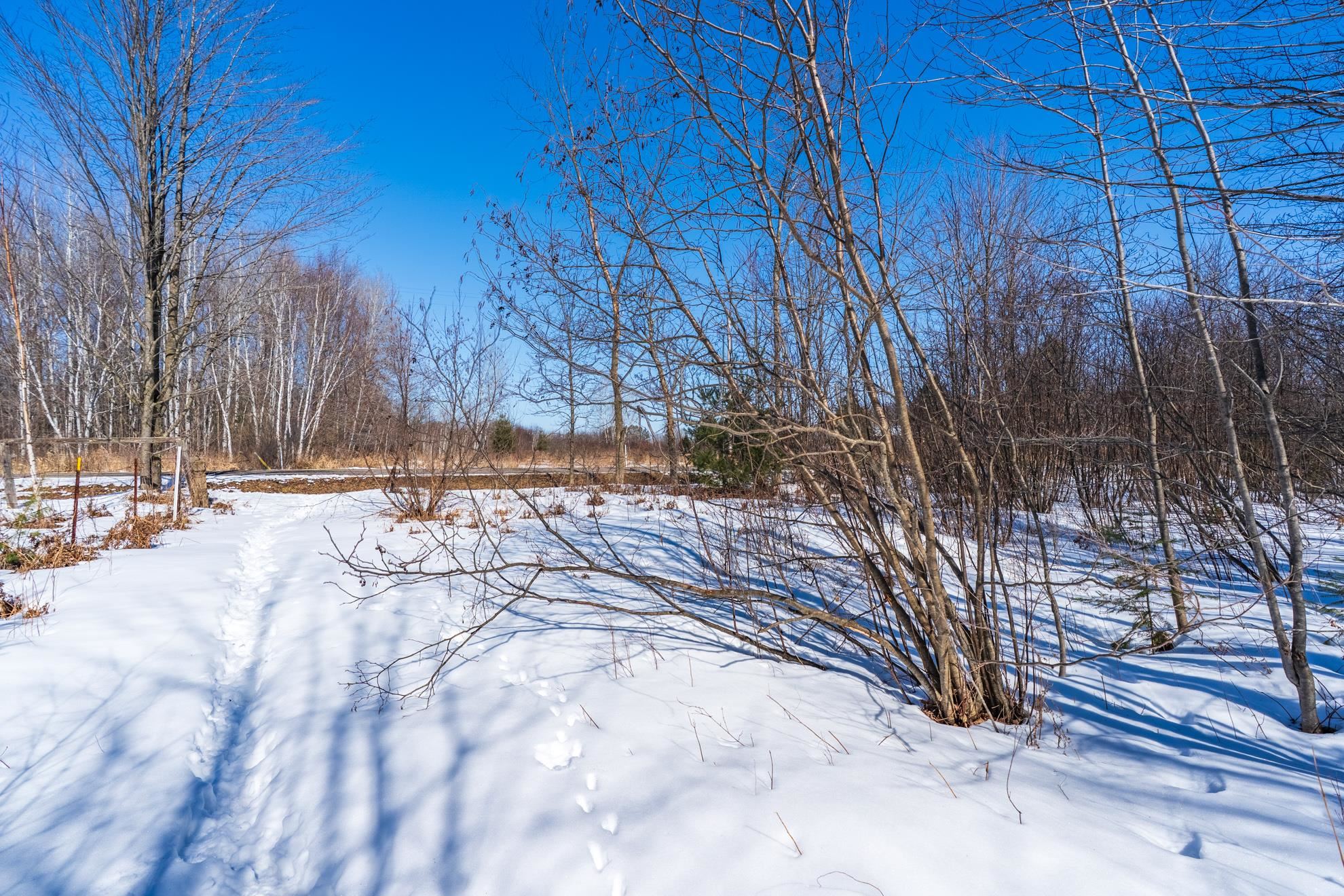 18.28 Acres SOUTH ROAD, Mosinee, Wisconsin 54455, ,Land,For Sale,18.28 Acres SOUTH ROAD,22600781