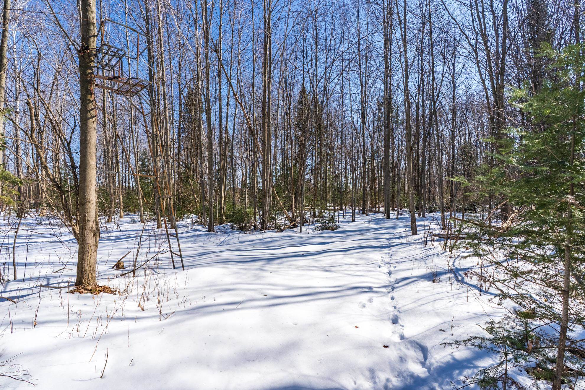 18.28 Acres SOUTH ROAD, Mosinee, Wisconsin 54455, ,Land,For Sale,18.28 Acres SOUTH ROAD,22600781