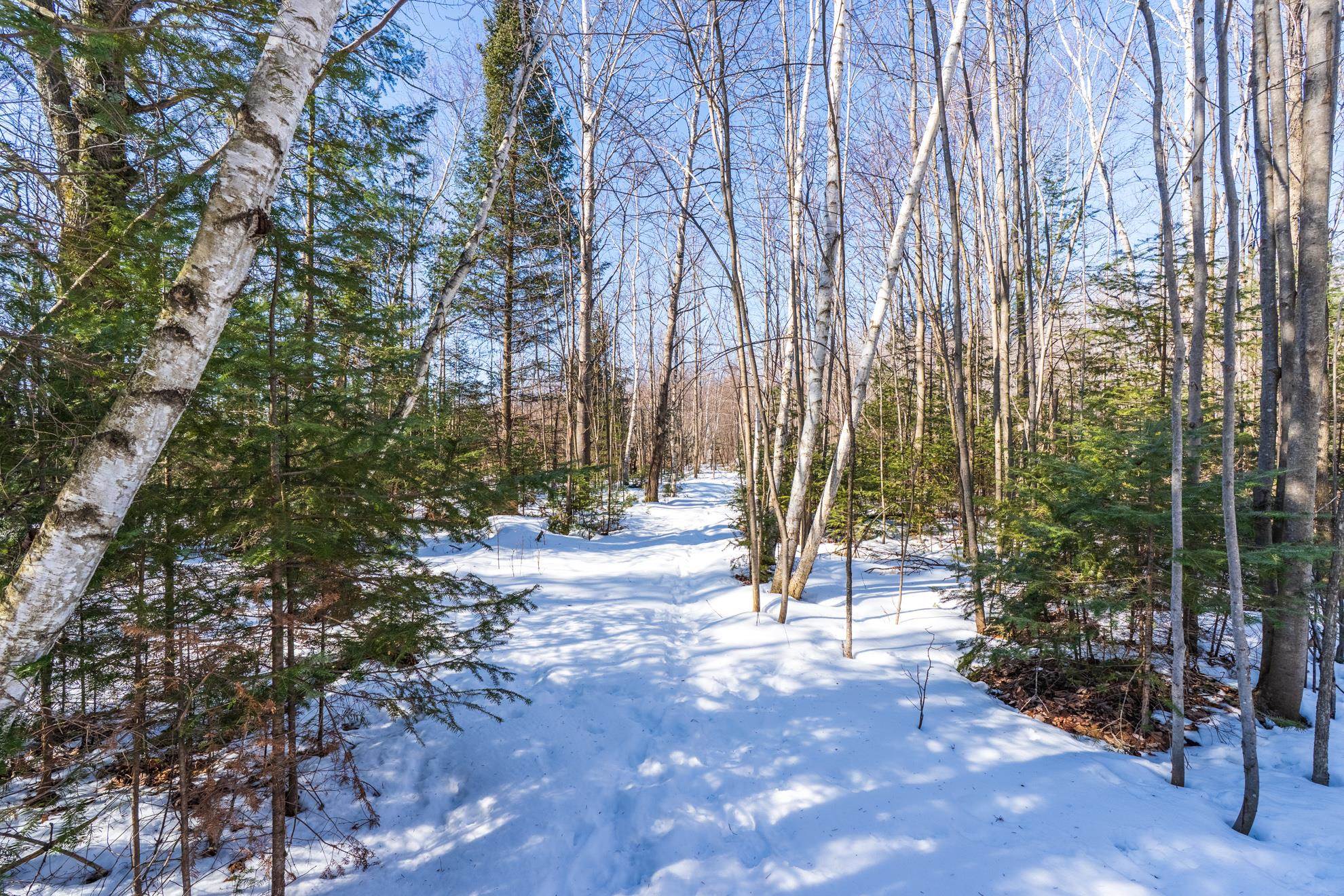 18.28 Acres SOUTH ROAD, Mosinee, Wisconsin 54455, ,Land,For Sale,18.28 Acres SOUTH ROAD,22600781