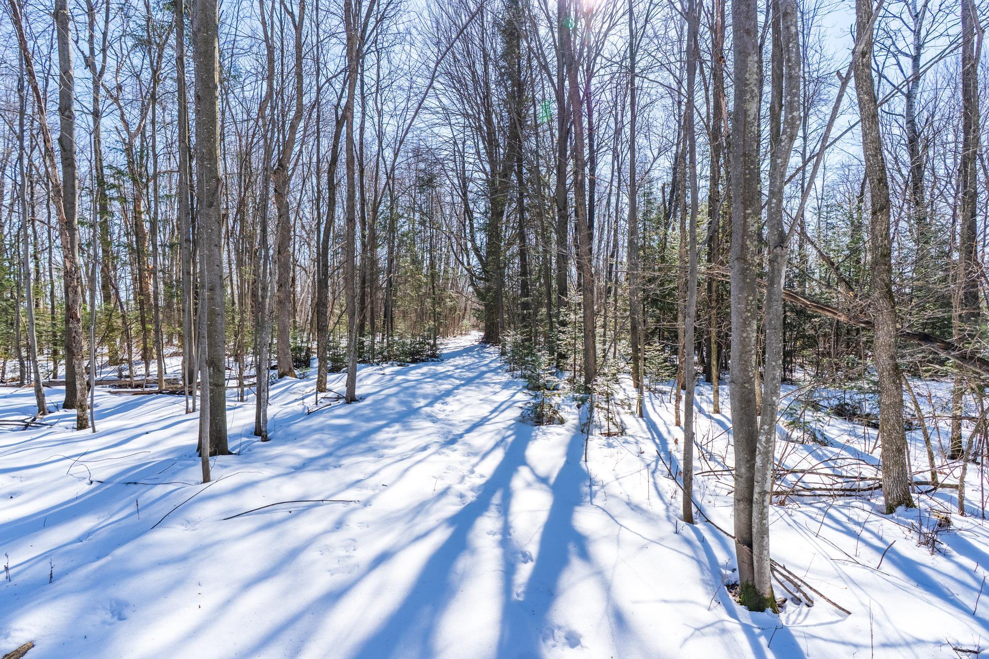 18.28 Acres SOUTH ROAD, Mosinee, Wisconsin 54455, ,Land,For Sale,18.28 Acres SOUTH ROAD,22600781