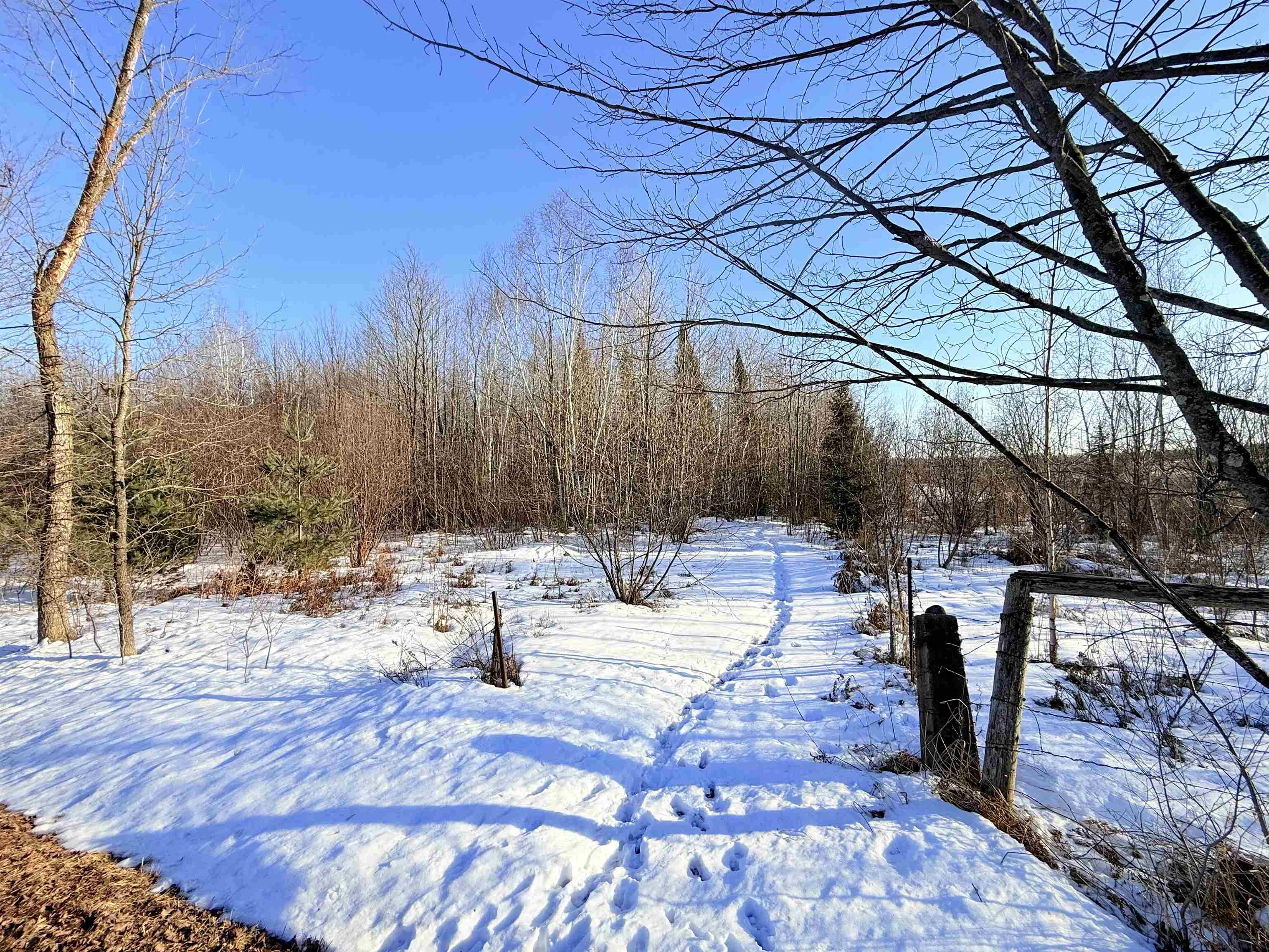 18.28 Acres SOUTH ROAD, Mosinee, Wisconsin 54455, ,Land,For Sale,18.28 Acres SOUTH ROAD,22600781