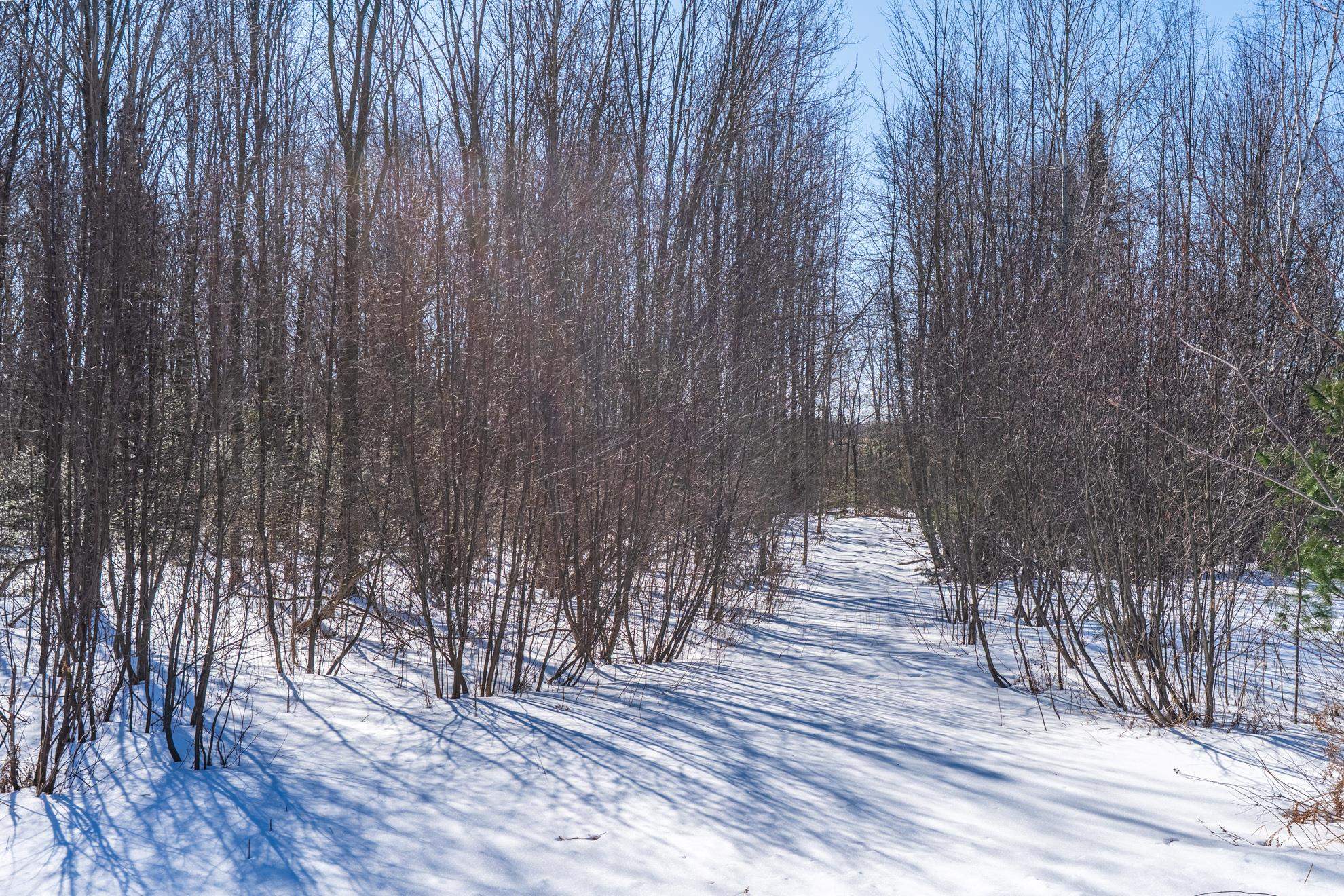 18.28 Acres SOUTH ROAD, Mosinee, Wisconsin 54455, ,Land,For Sale,18.28 Acres SOUTH ROAD,22600781