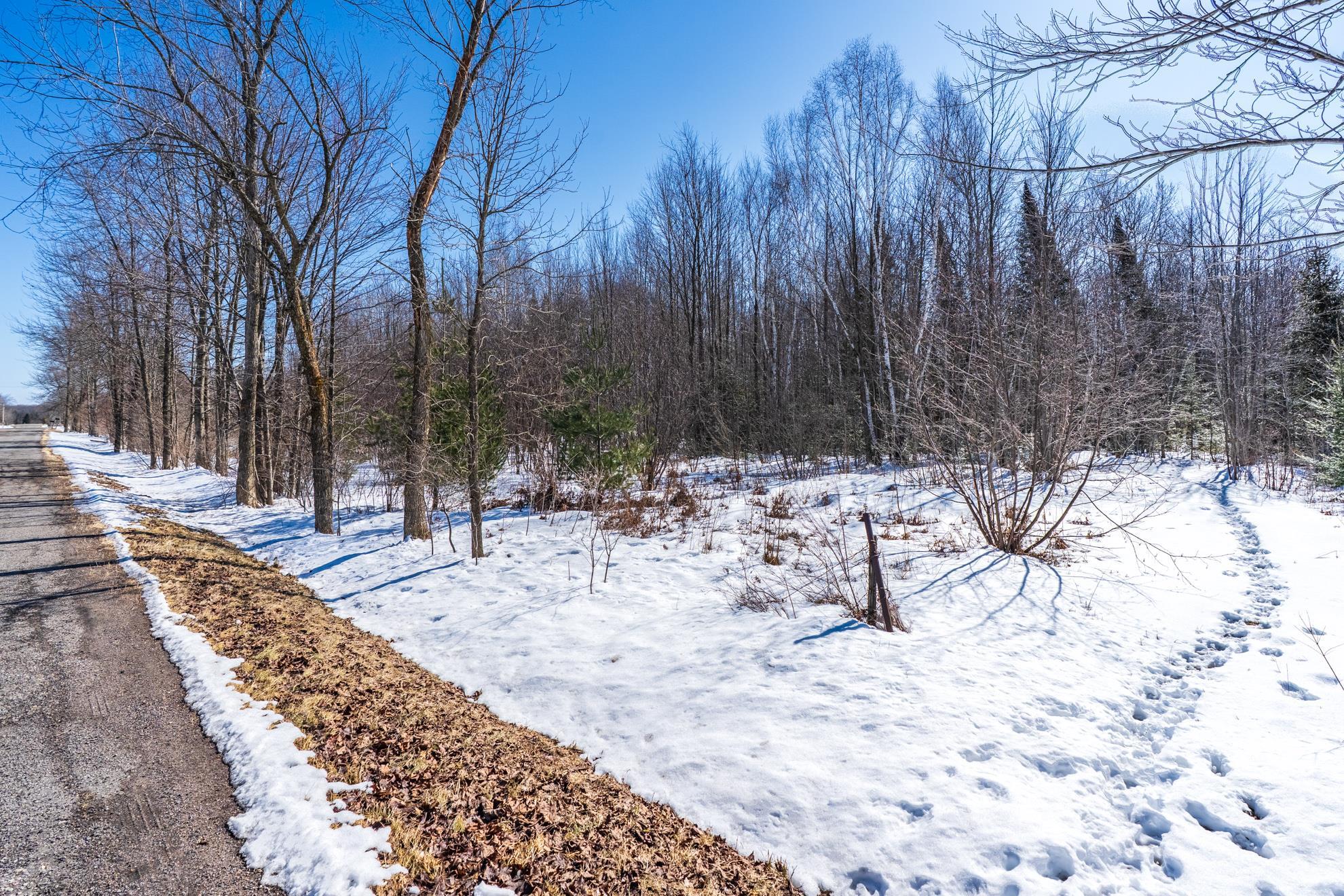 18.28 Acres SOUTH ROAD, Mosinee, Wisconsin 54455, ,Land,For Sale,18.28 Acres SOUTH ROAD,22600781