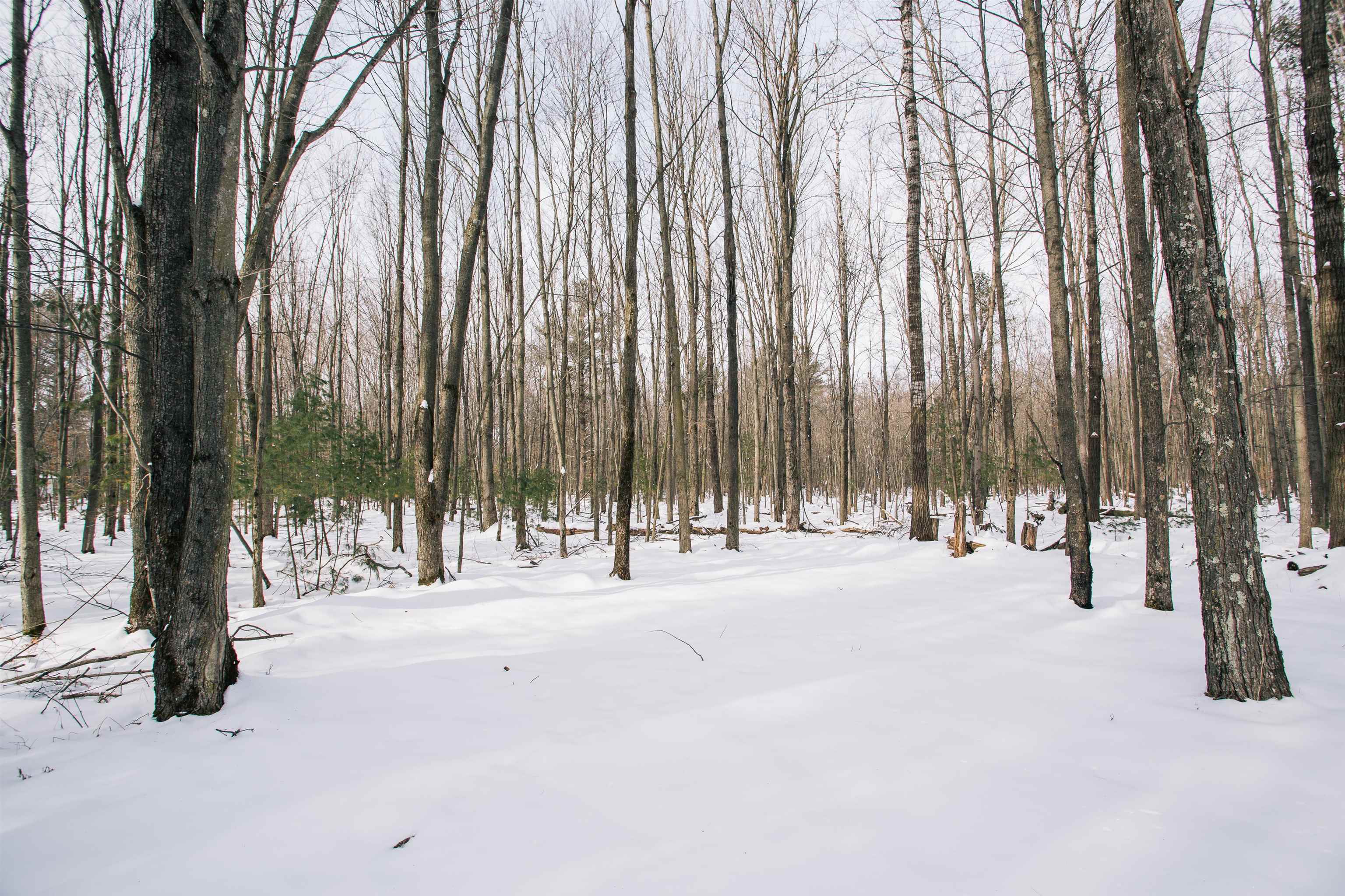 W962 CAMPFIRE ROAD, Granton, Wisconsin 54436, 2 Bedrooms Bedrooms, ,1 BathroomBathrooms,Residential,For Sale,W962 CAMPFIRE ROAD,22600816