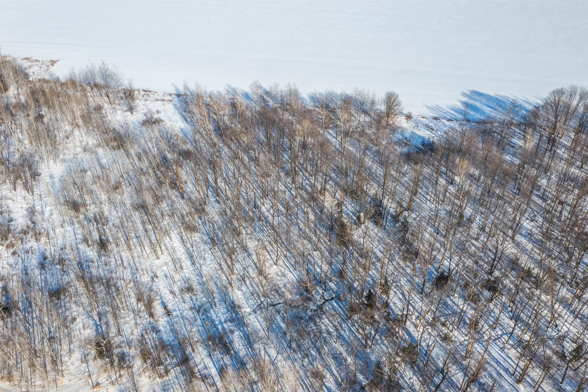 15 Acres MERIDIAN ROAD, Athens, Wisconsin 54411, ,Land,For Sale,15 Acres MERIDIAN ROAD,22600821