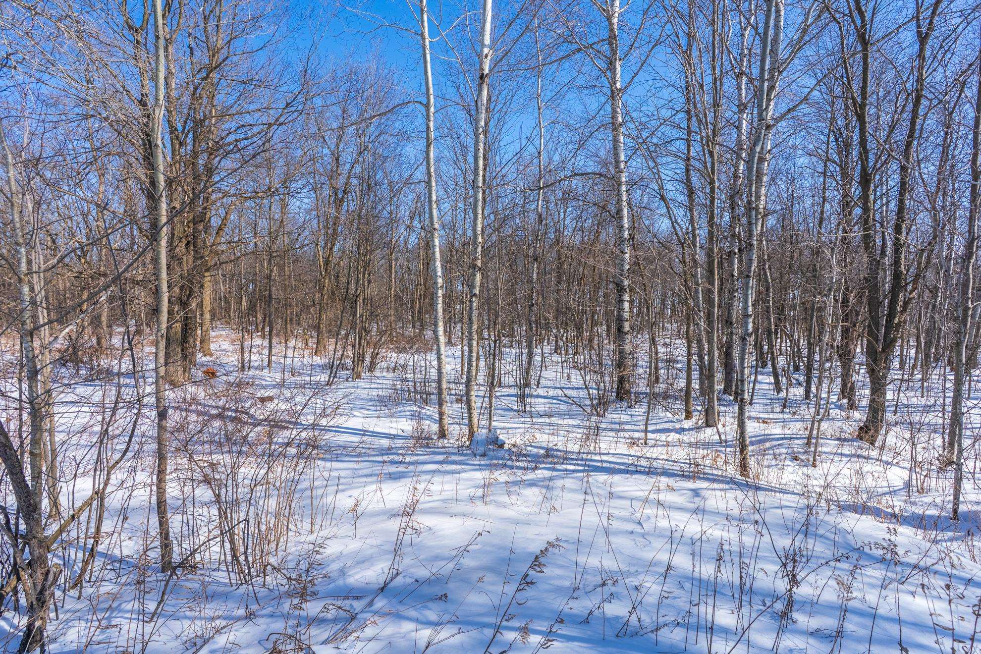 15 Acres MERIDIAN ROAD, Athens, Wisconsin 54411, ,Land,For Sale,15 Acres MERIDIAN ROAD,22600821