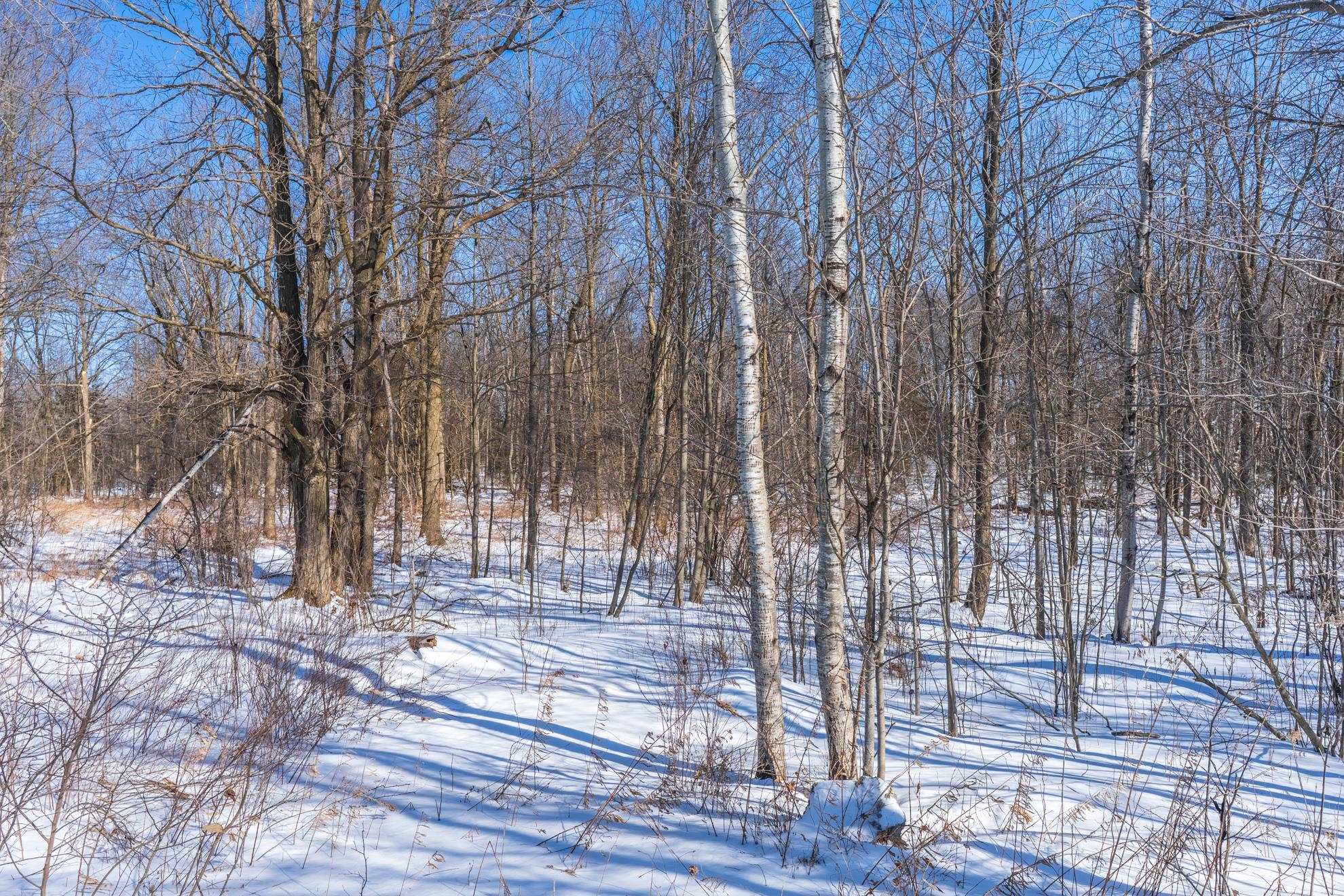 15 Acres MERIDIAN ROAD, Athens, Wisconsin 54411, ,Land,For Sale,15 Acres MERIDIAN ROAD,22600821