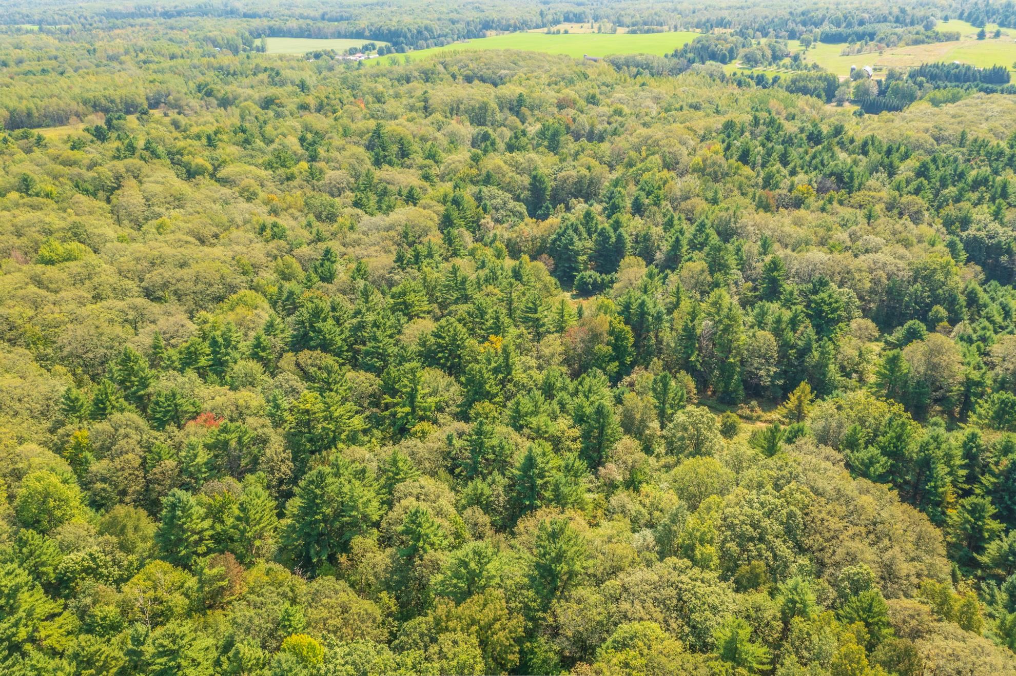 68.53 acres BOUNDARY ROAD, Hatley, Wisconsin 54471, ,Land,For Sale,68.53 acres BOUNDARY ROAD,22600826