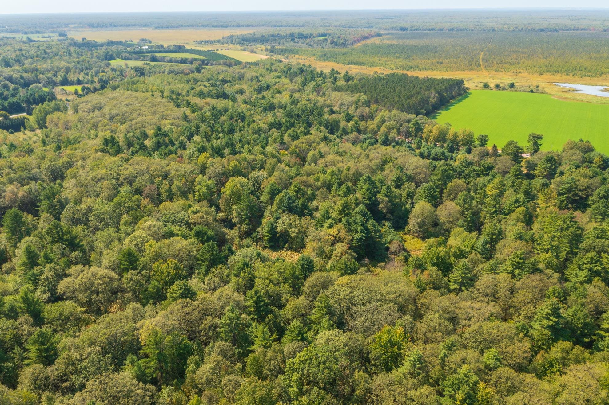 68.53 acres BOUNDARY ROAD, Hatley, Wisconsin 54471, ,Land,For Sale,68.53 acres BOUNDARY ROAD,22600826