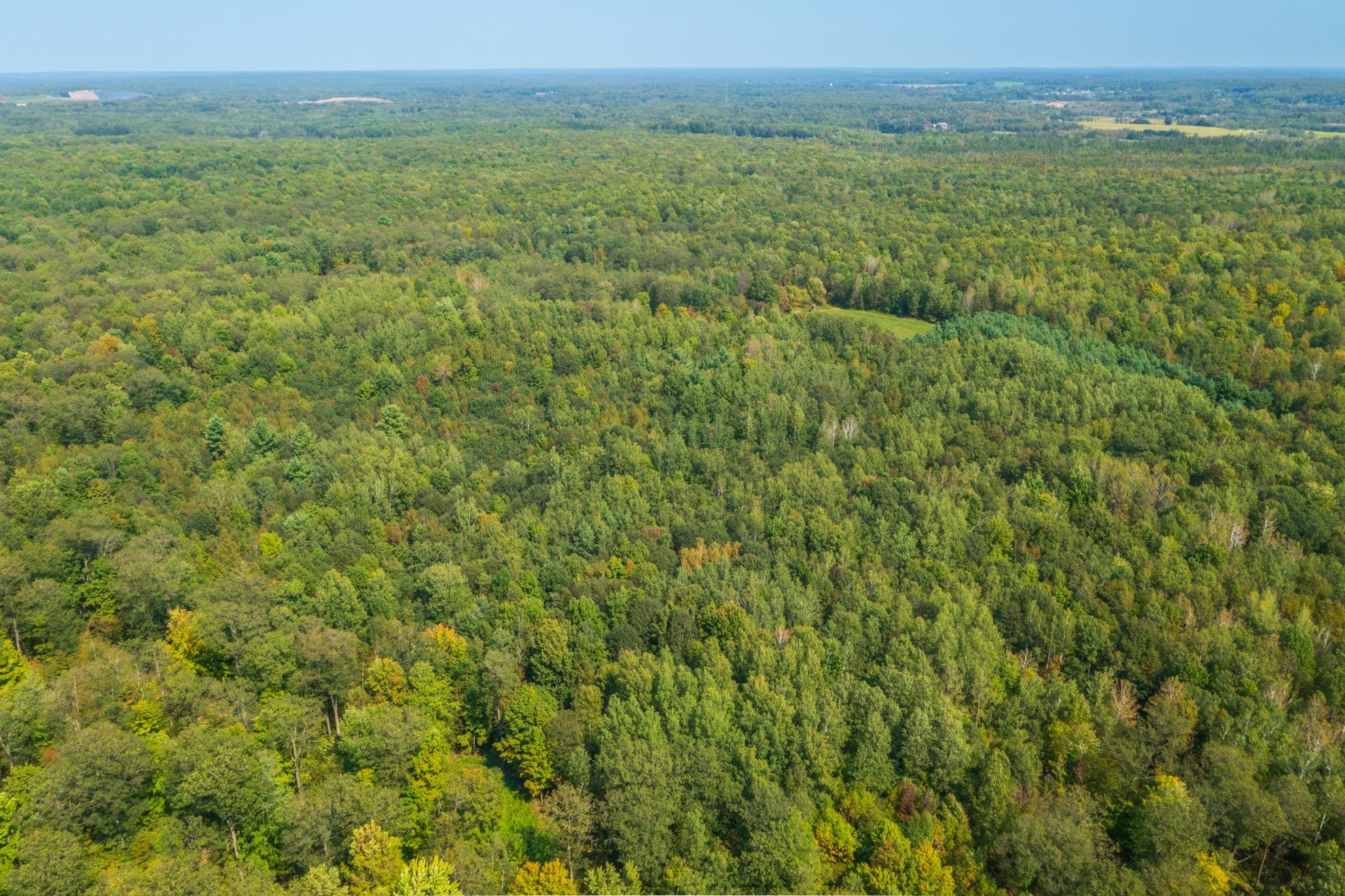 68.53 acres BOUNDARY ROAD, Hatley, Wisconsin 54471, ,Land,For Sale,68.53 acres BOUNDARY ROAD,22600826