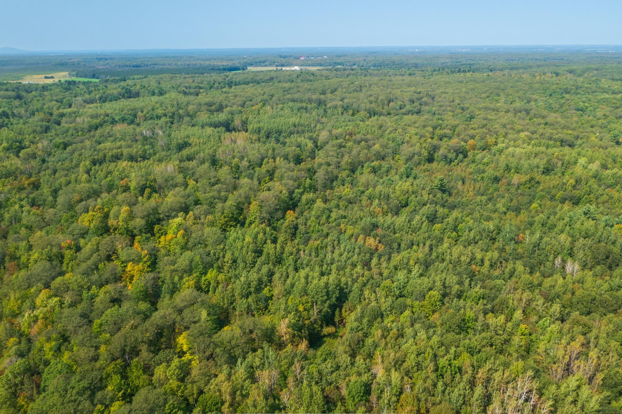 68.53 acres BOUNDARY ROAD, Hatley, Wisconsin 54471, ,Land,For Sale,68.53 acres BOUNDARY ROAD,22600826