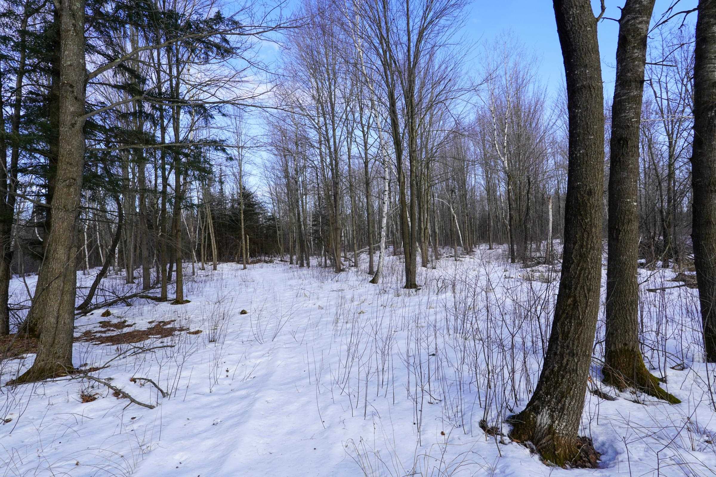 W6724 E & M LANE, Medford, Wisconsin 54451, 2 Bedrooms Bedrooms, ,2 BathroomsBathrooms,Residential,For Sale,W6724 E & M LANE,22600834