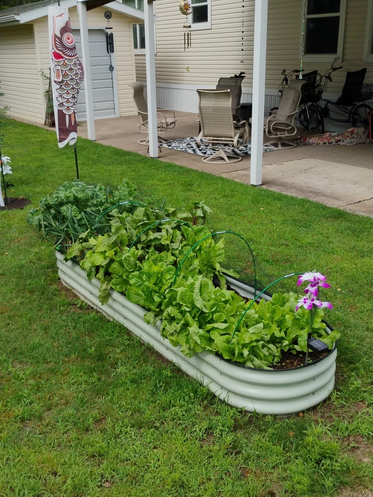 7740 SOUTH PARK ROAD, Wisconsin Rapids, Wisconsin 54494, 3 Bedrooms Bedrooms, ,2 BathroomsBathrooms,Residential,For Sale,7740 SOUTH PARK ROAD,22600836