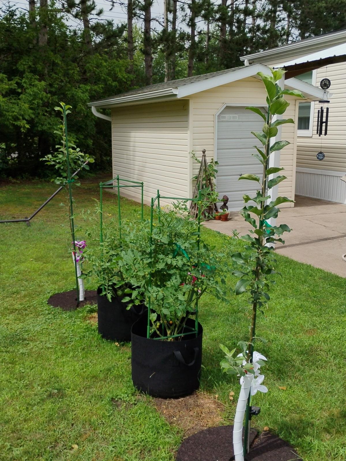 7740 SOUTH PARK ROAD, Wisconsin Rapids, Wisconsin 54494, 3 Bedrooms Bedrooms, ,2 BathroomsBathrooms,Residential,For Sale,7740 SOUTH PARK ROAD,22600836