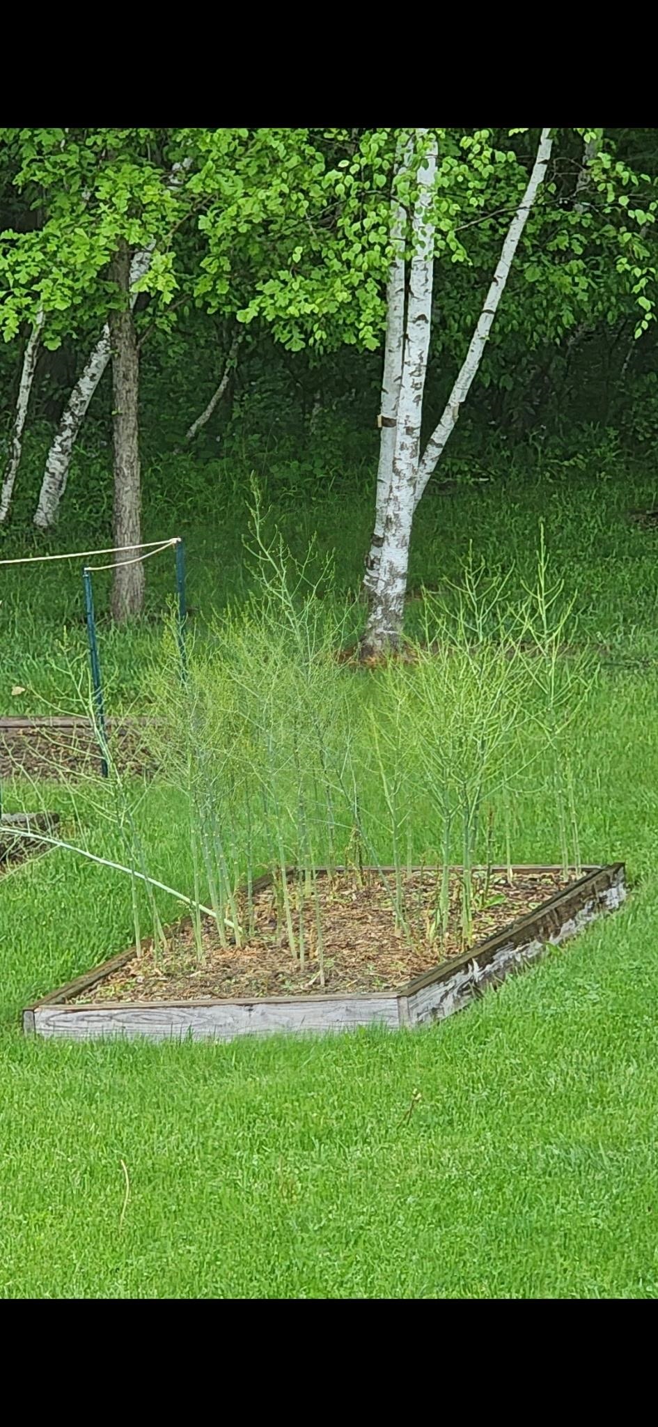 105428 WOODRIDGE DRIVE, Marshfield, Wisconsin 54449, 4 Bedrooms Bedrooms, ,2 BathroomsBathrooms,Residential,For Sale,105428 WOODRIDGE DRIVE,22600840