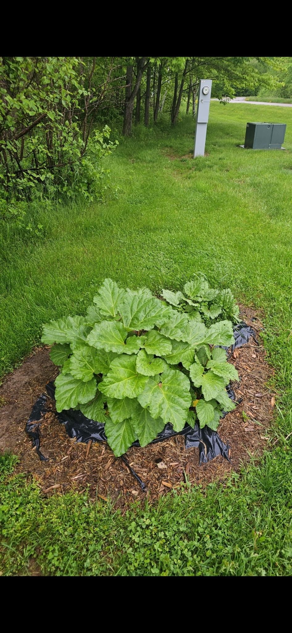 105428 WOODRIDGE DRIVE, Marshfield, Wisconsin 54449, 4 Bedrooms Bedrooms, ,2 BathroomsBathrooms,Residential,For Sale,105428 WOODRIDGE DRIVE,22600840