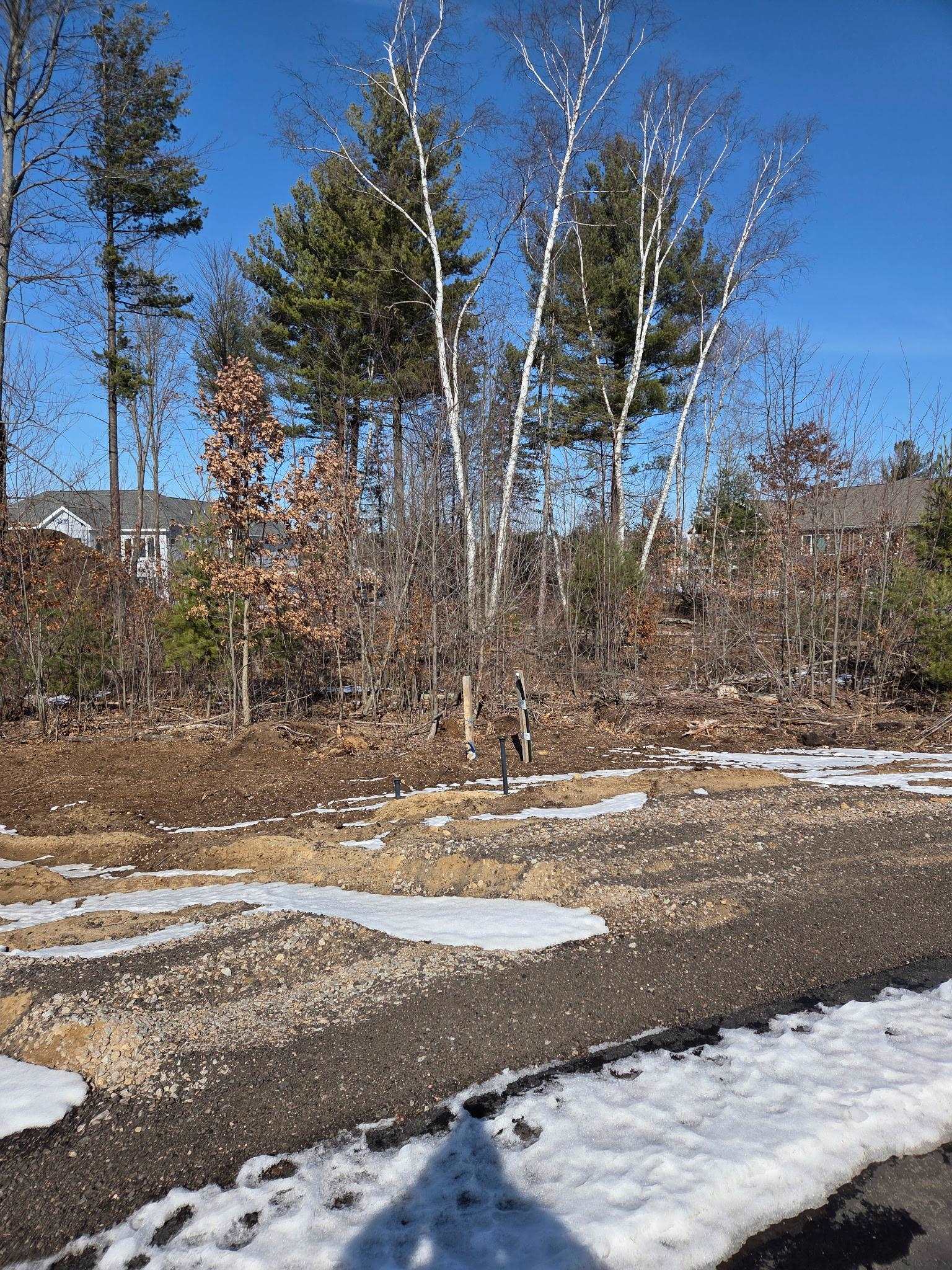 Lot 60 HERON HAVEN COURT, BIRON, Wisconsin 54494, ,Land,For Sale,Lot 60 HERON HAVEN COURT,22600855