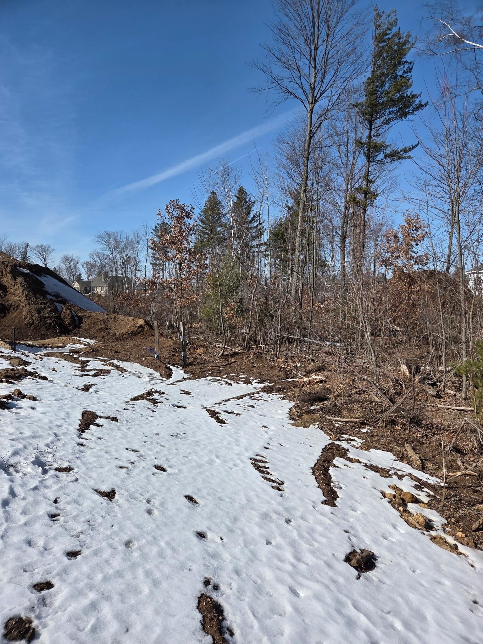 Lot 60 HERON HAVEN COURT, BIRON, Wisconsin 54494, ,Land,For Sale,Lot 60 HERON HAVEN COURT,22600855