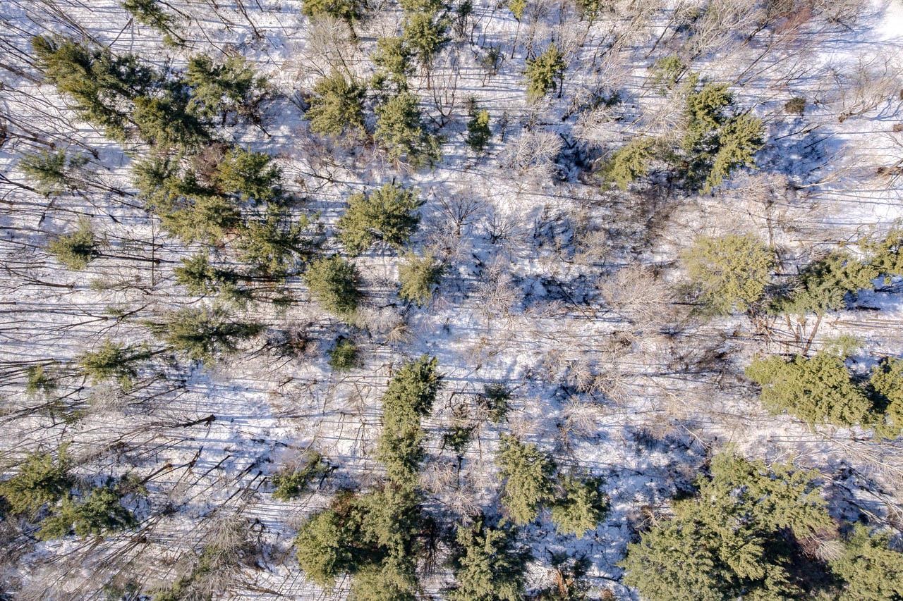 12.7 acres SMITH STREET, Merrill, Wisconsin 54452, ,Land,For Sale,12.7 acres SMITH STREET,22600874